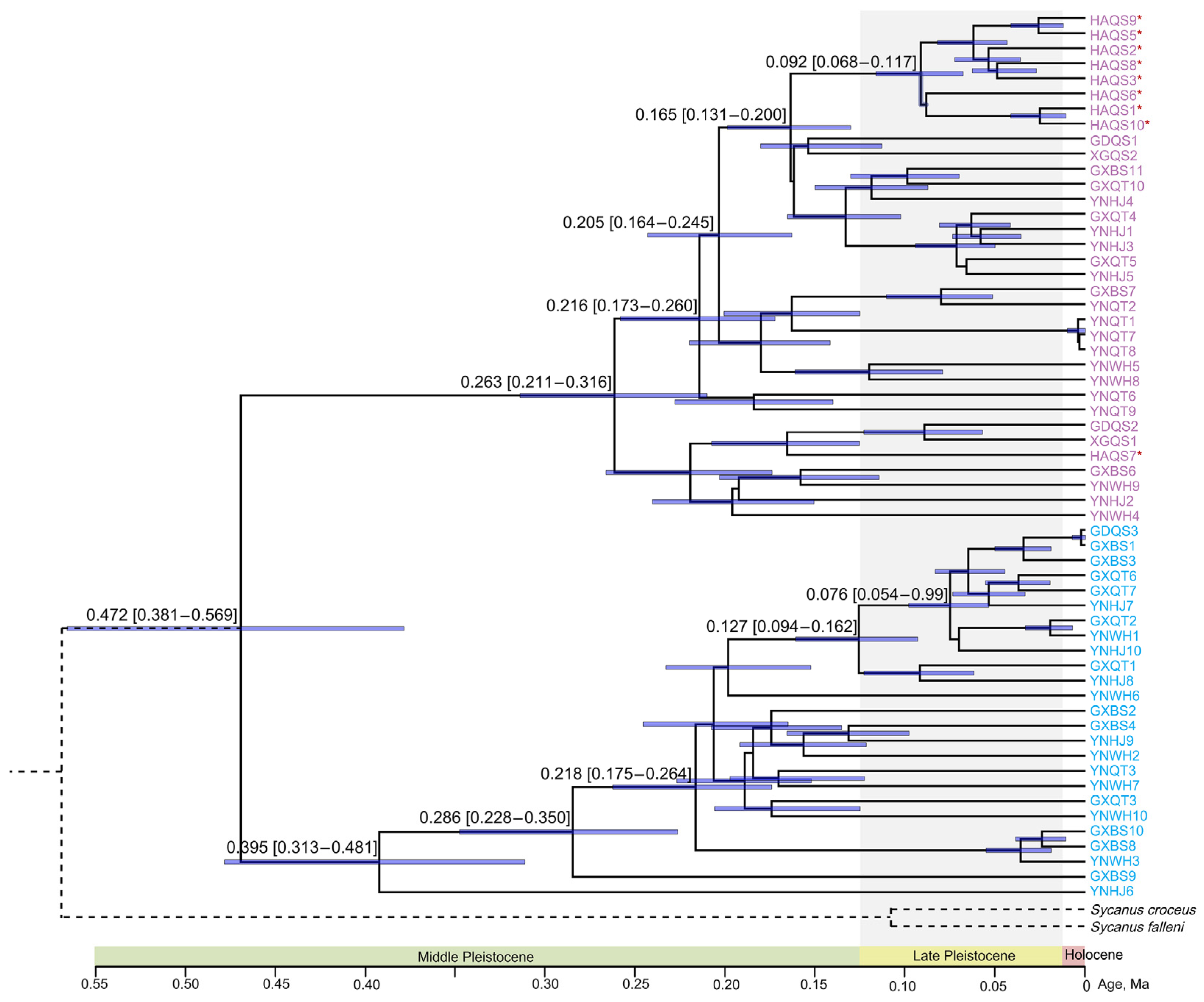 Biology 13 00305 g004