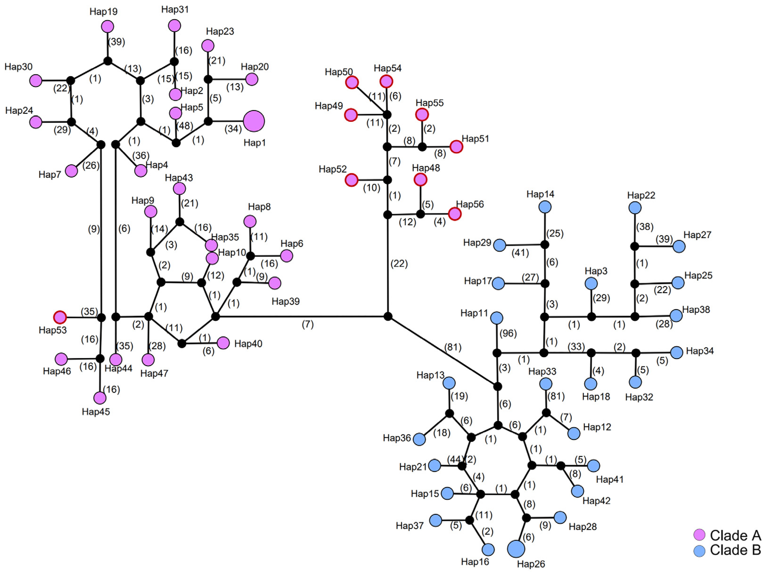Biology 13 00305 g005