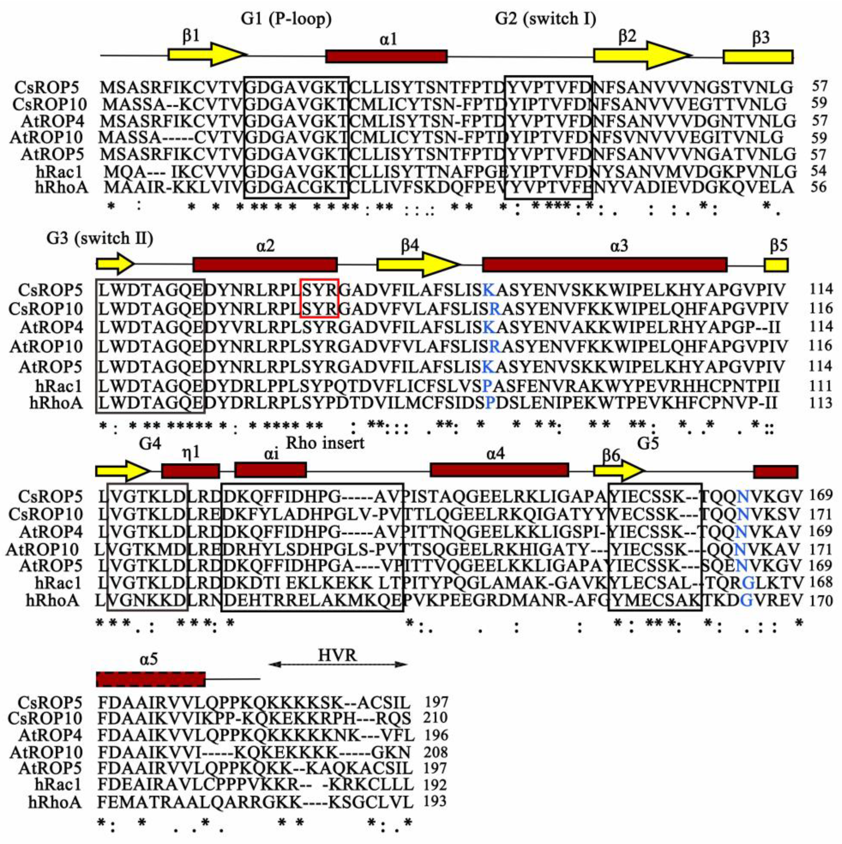Biology 13 00308 g001