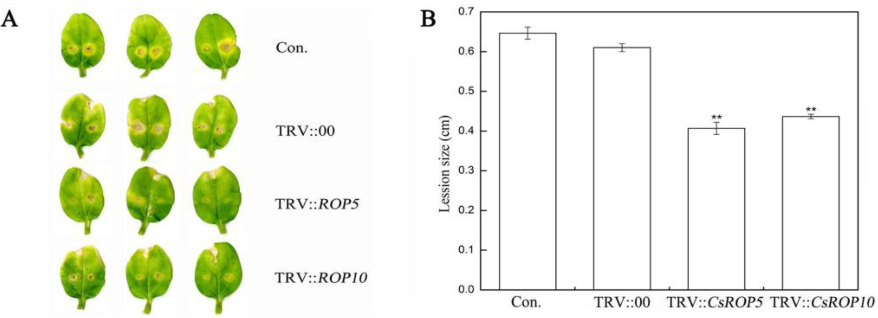 Biology 13 00308 g003