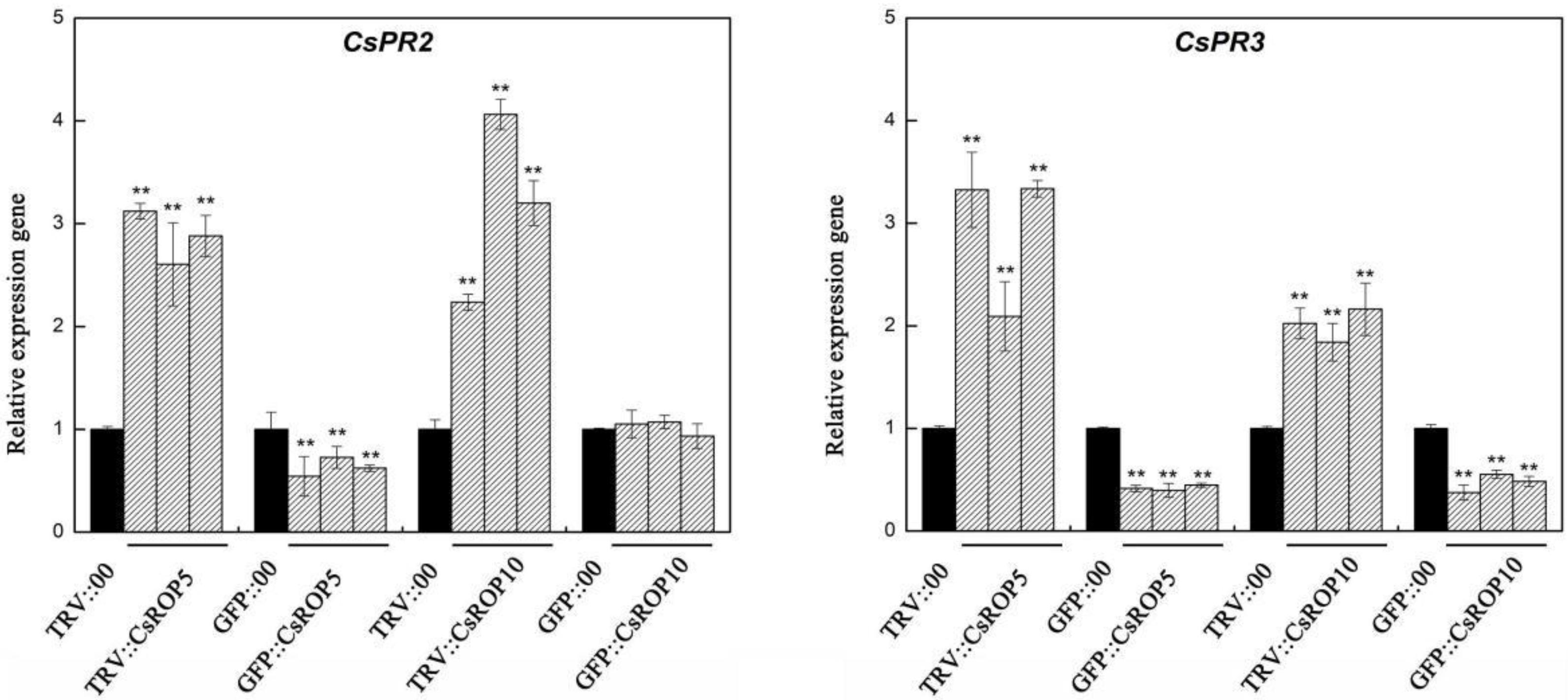 Biology 13 00308 g006