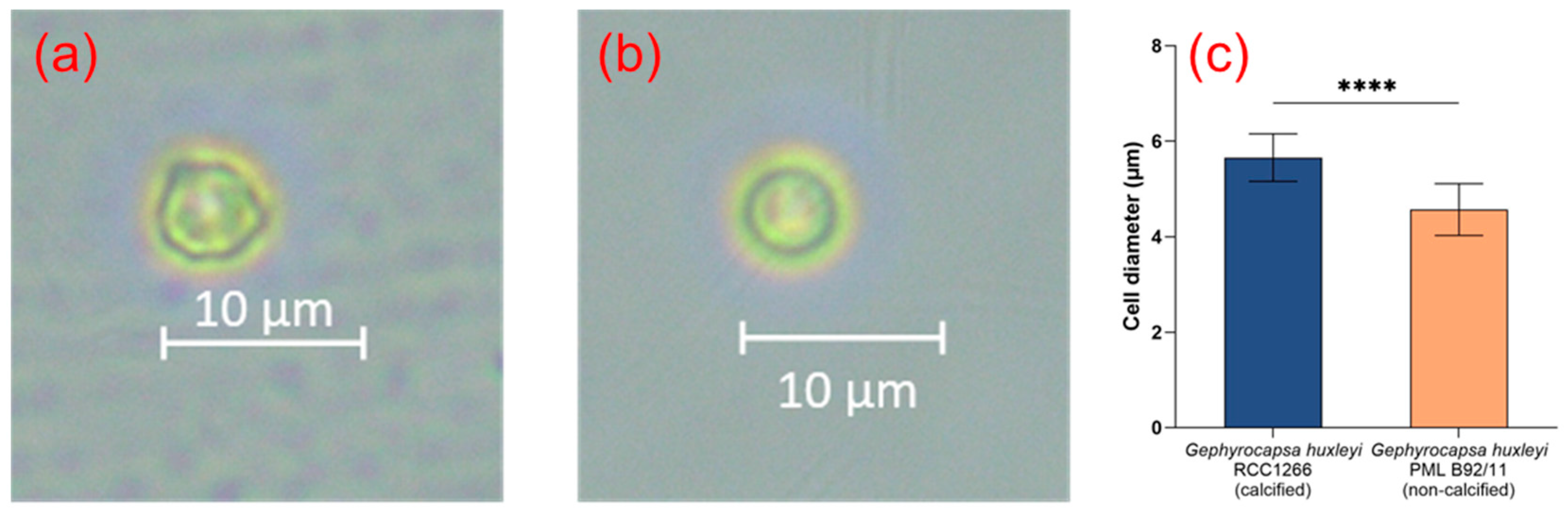 Biology 13 00310 g001