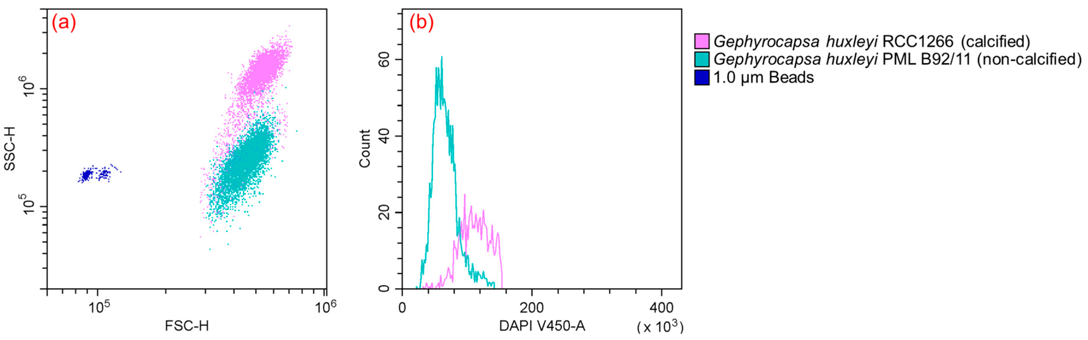 Biology 13 00310 g002