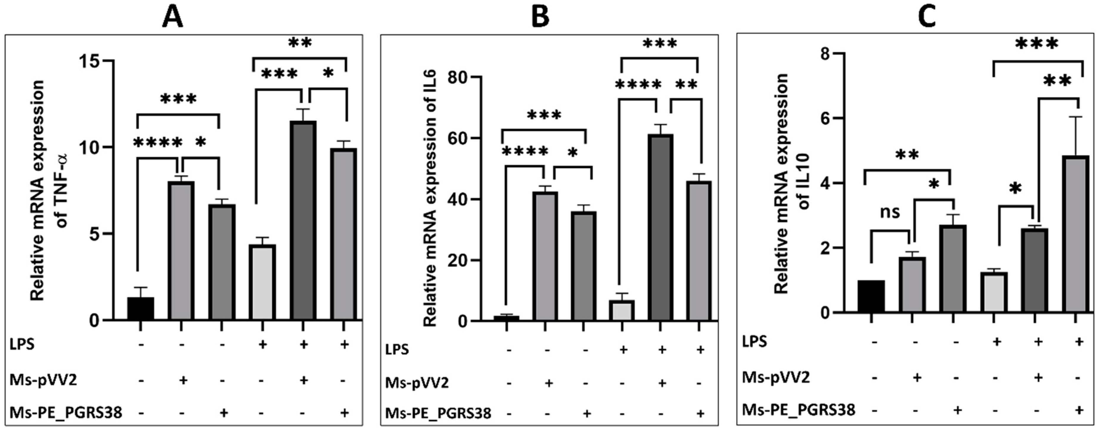 Biology 13 00313 g003