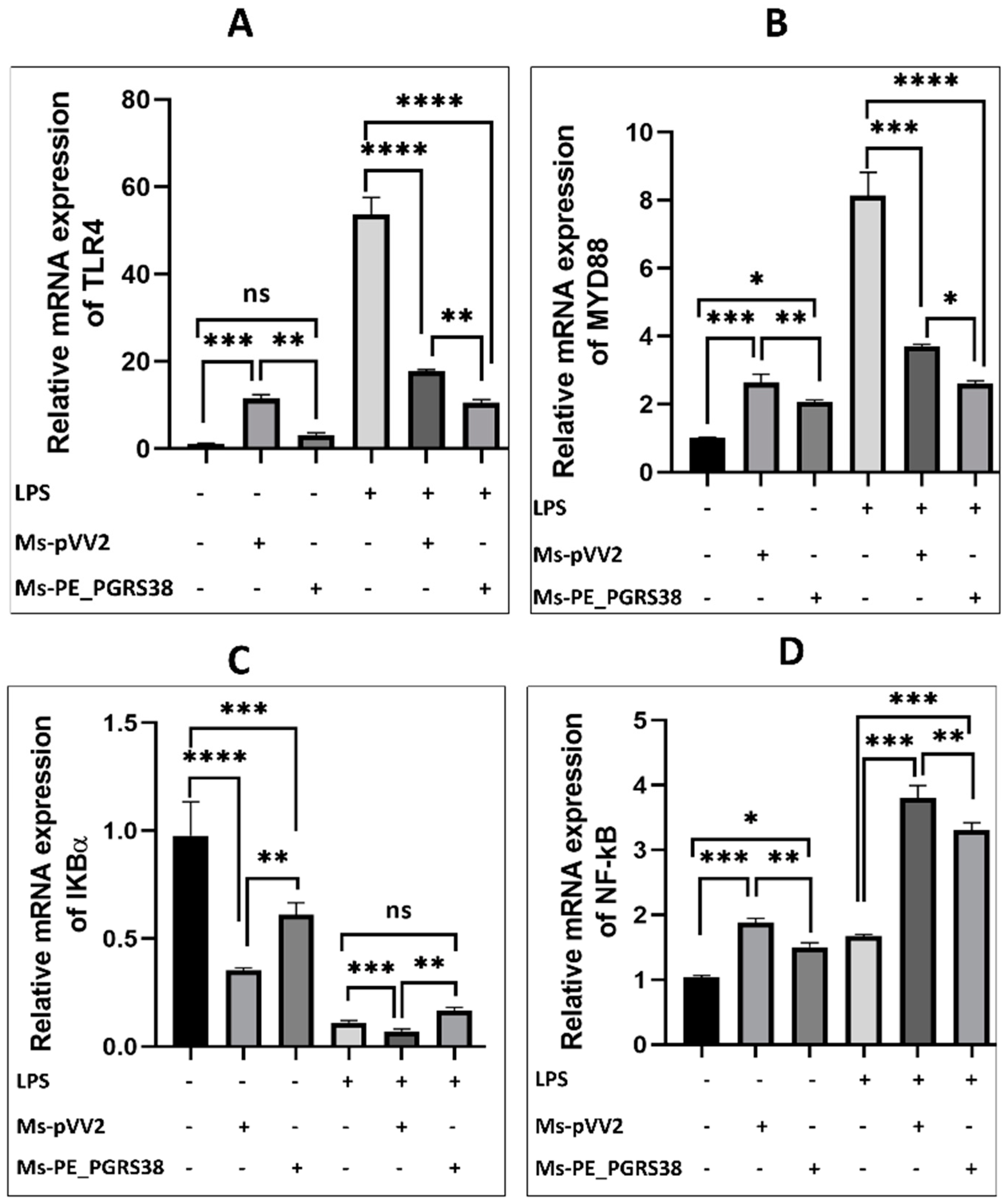 Biology 13 00313 g004