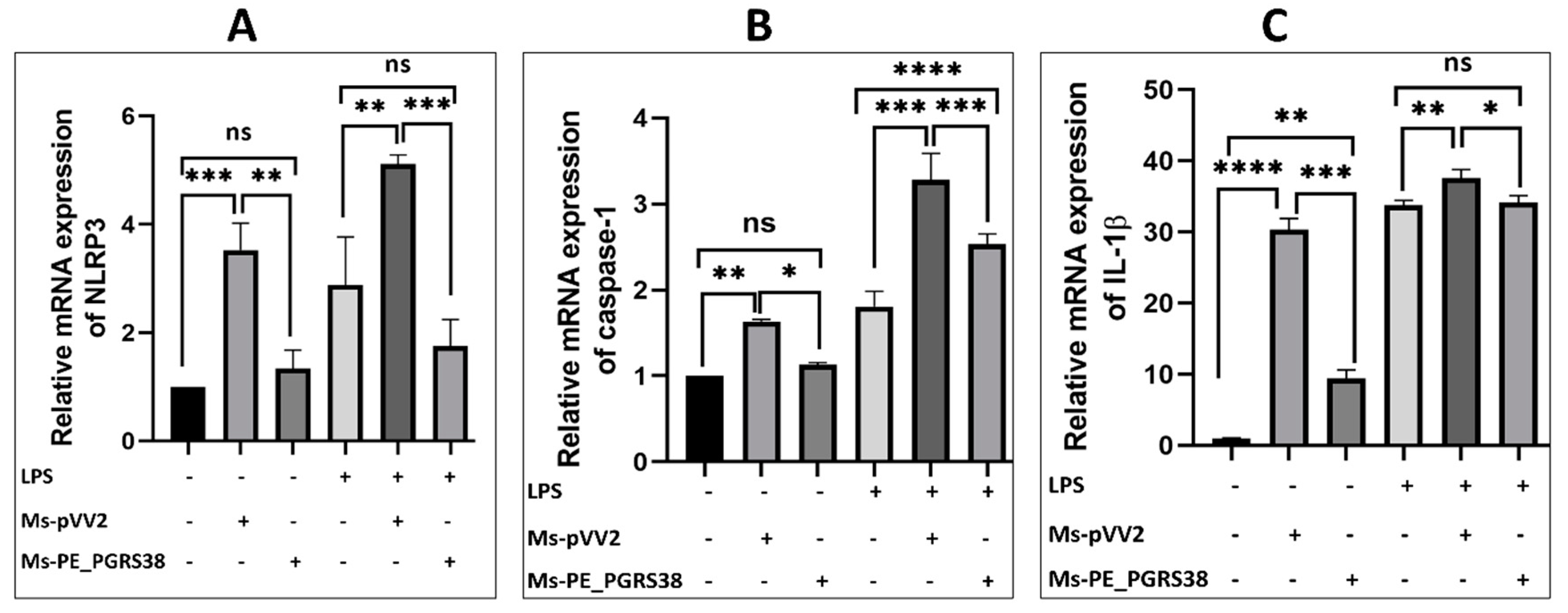 Biology 13 00313 g005