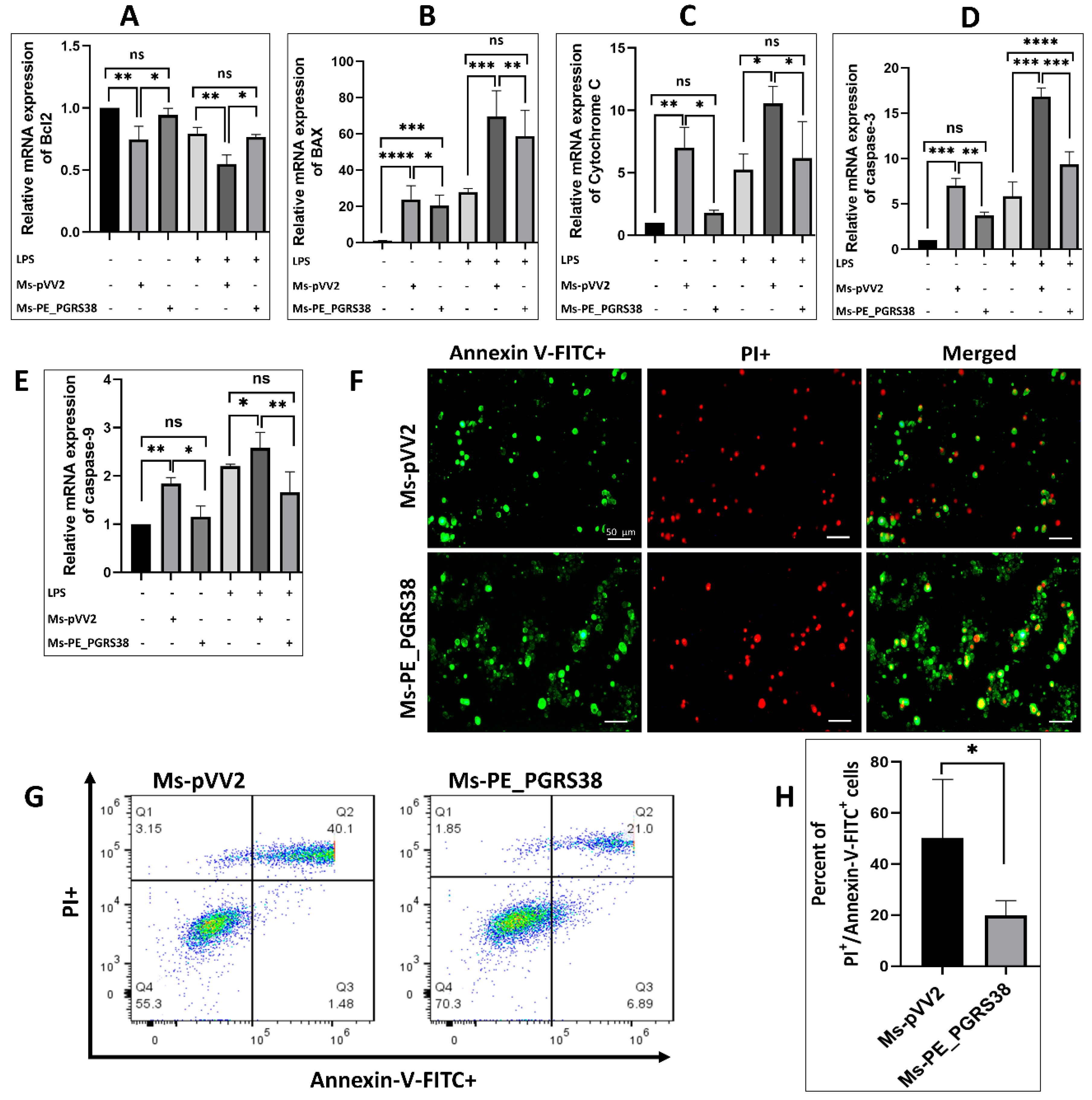 Biology 13 00313 g006