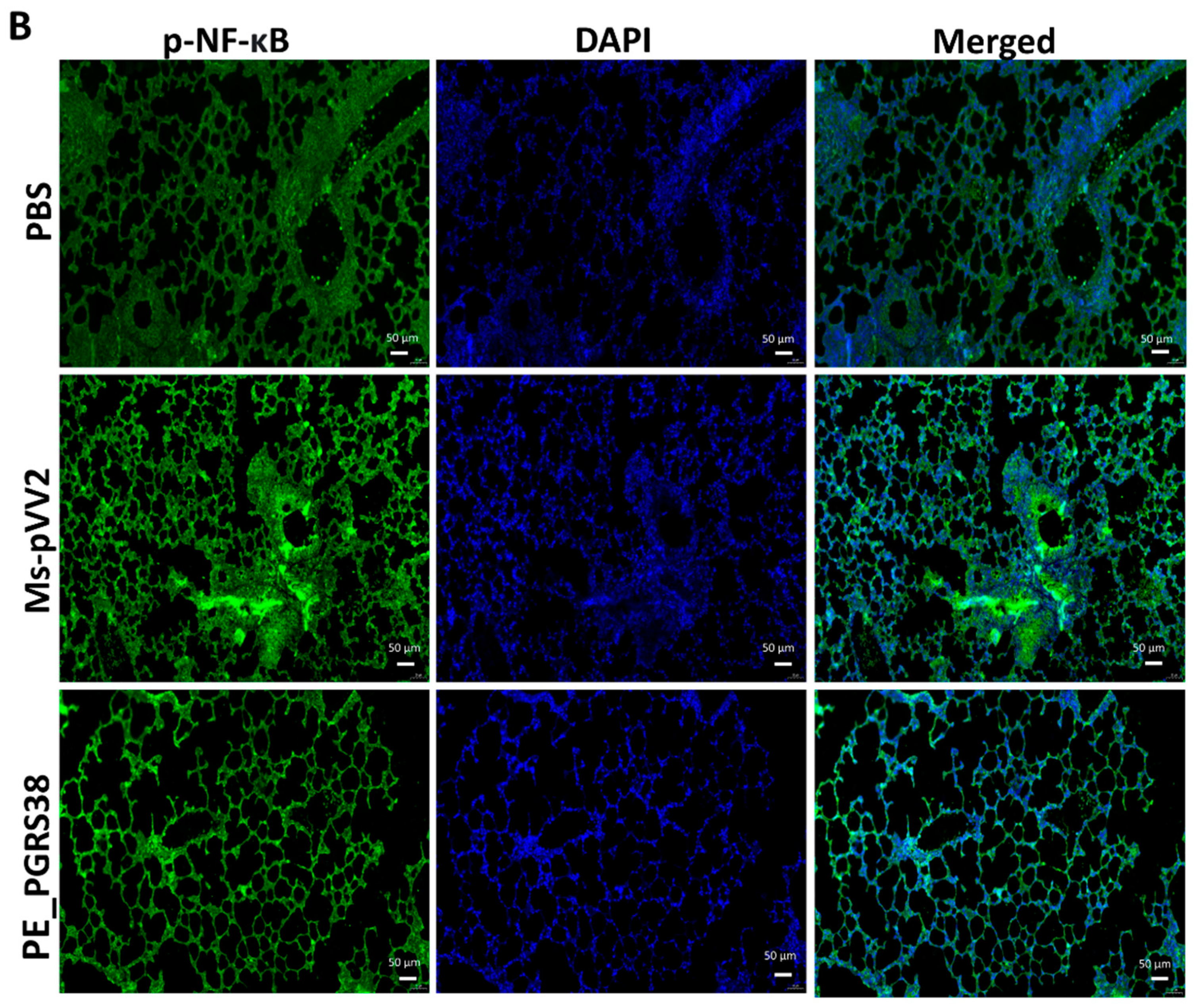 Biology 13 00313 g007b
