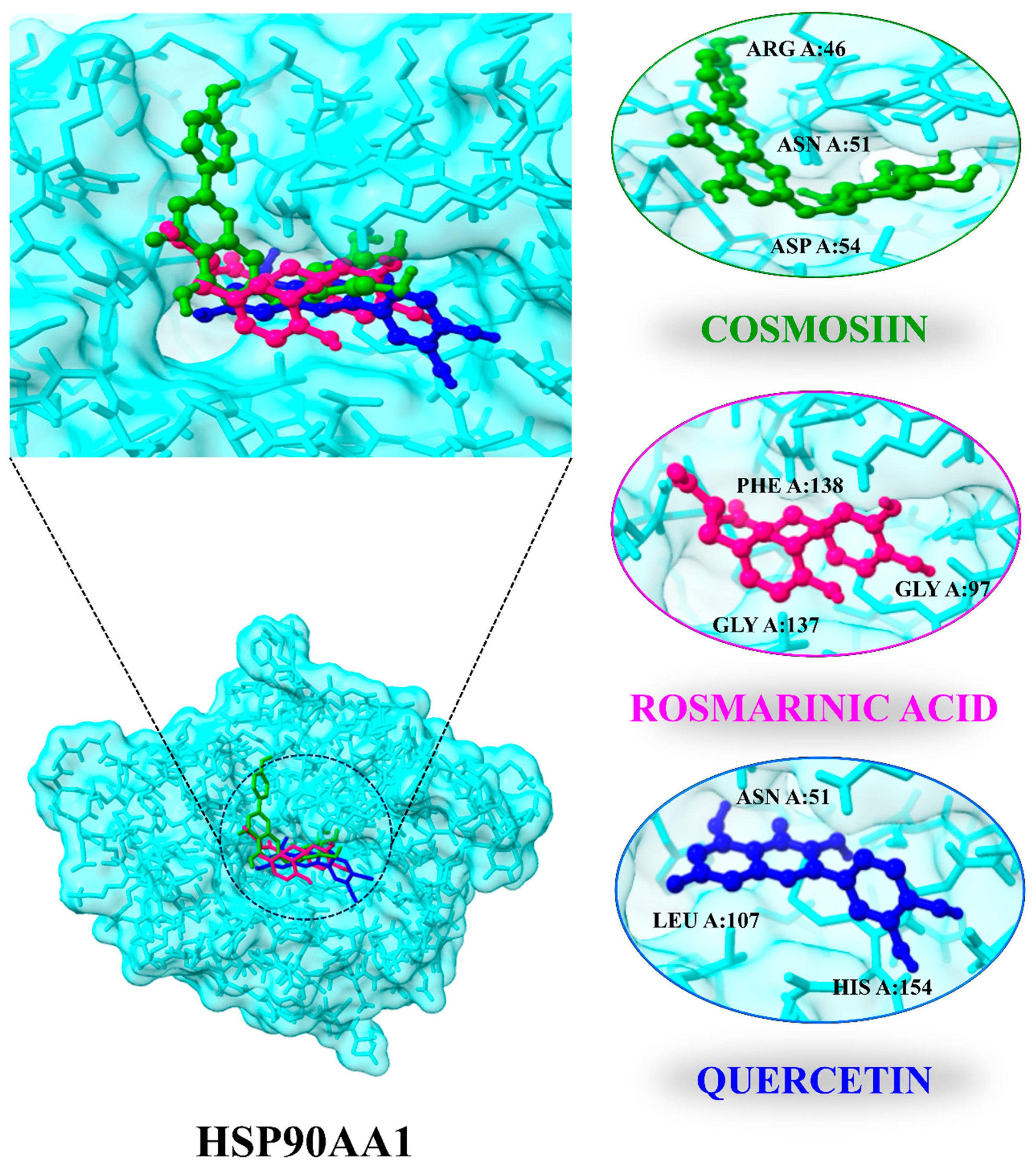 Biology 13 00315 g008