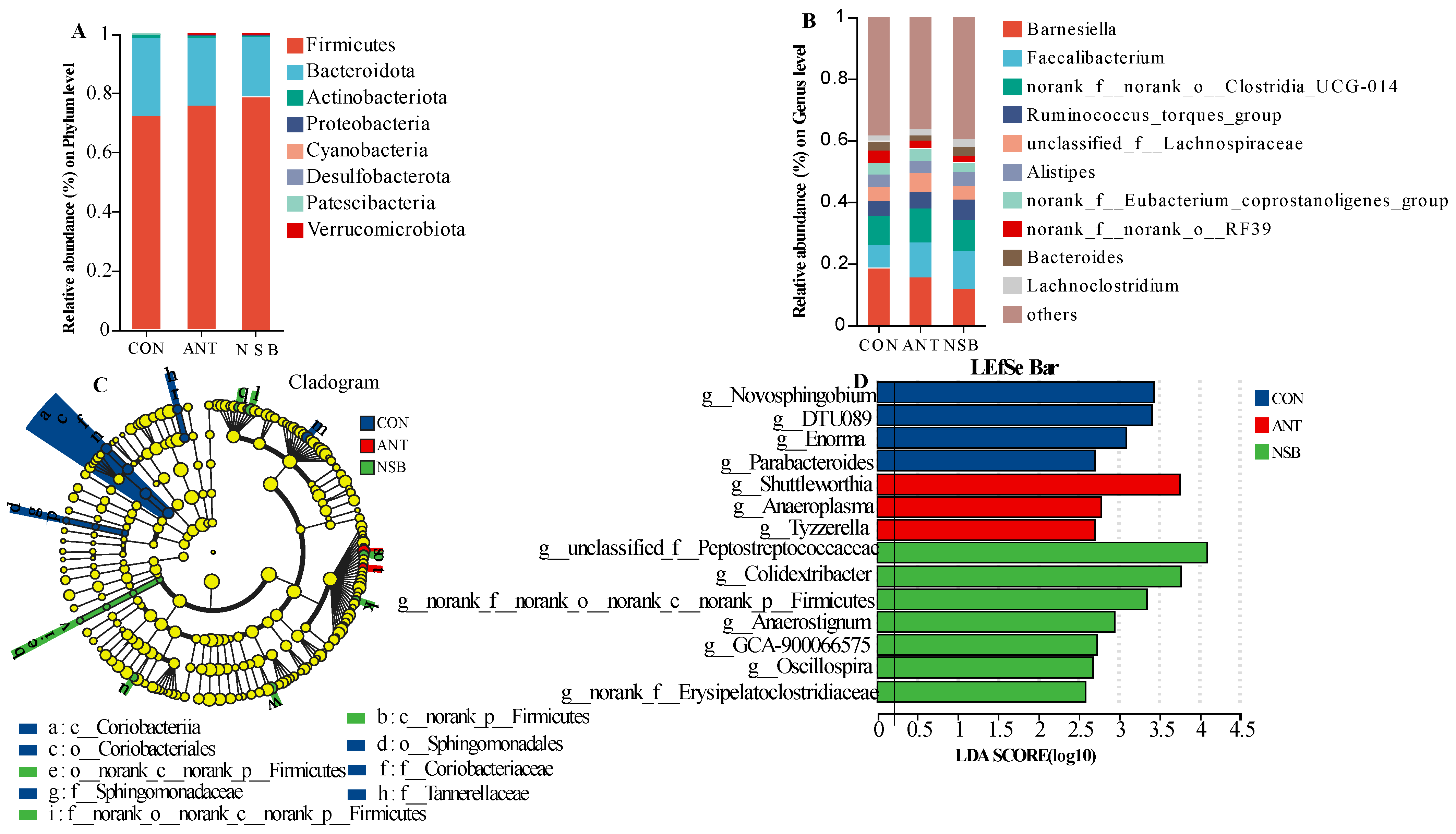 Biology 13 00317 g007