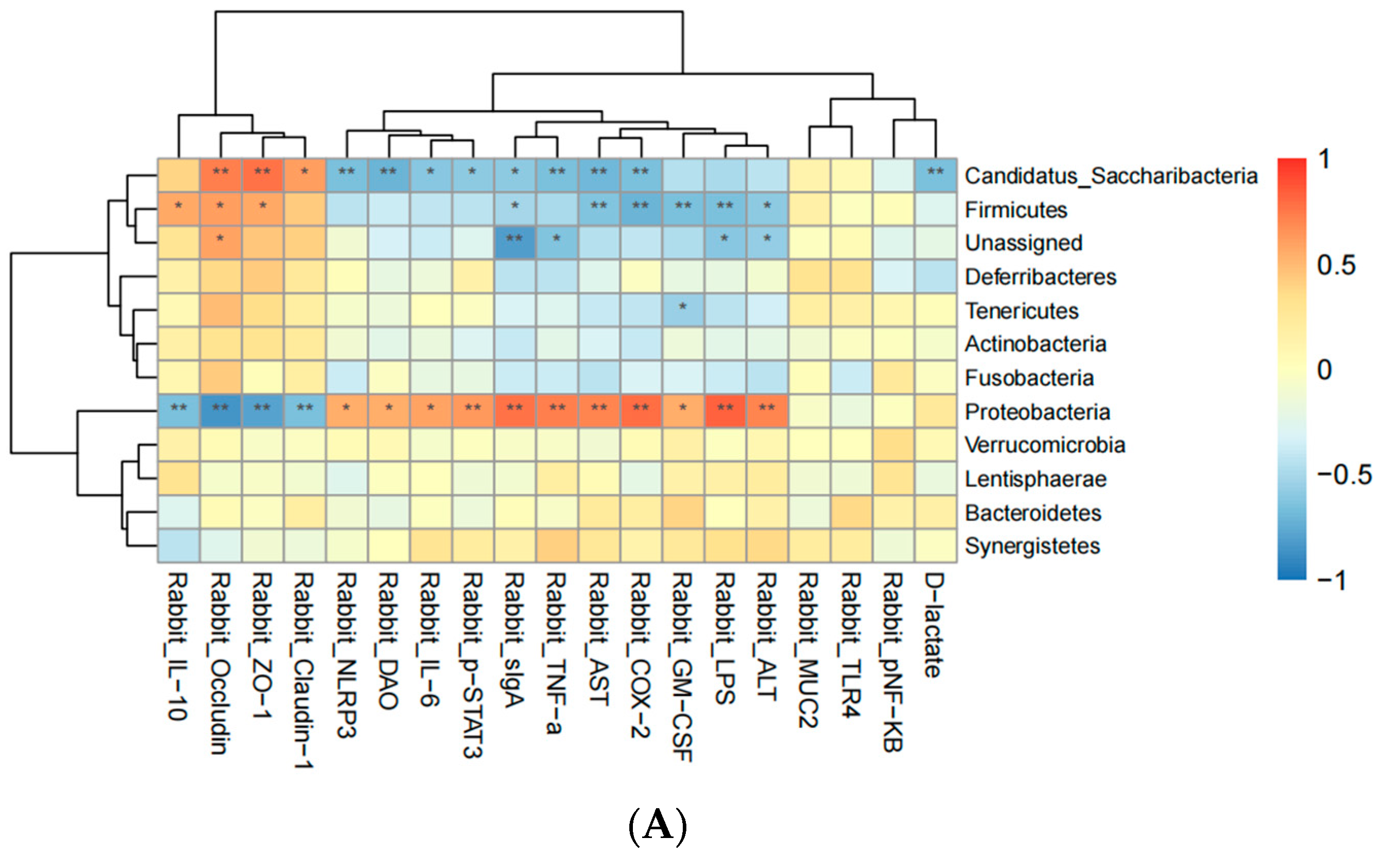 Biology 13 00327 g009a