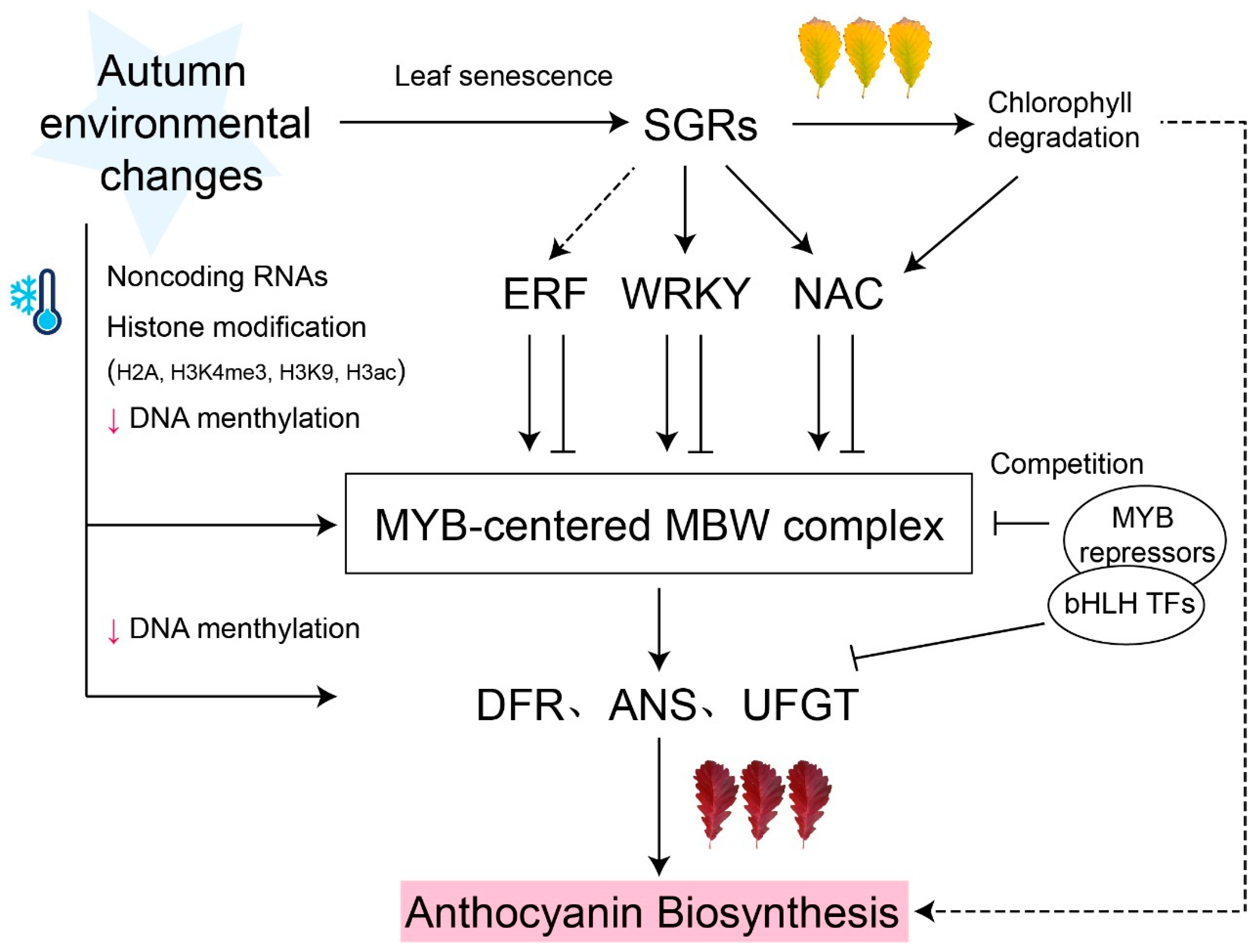 Biology 13 00329 g001