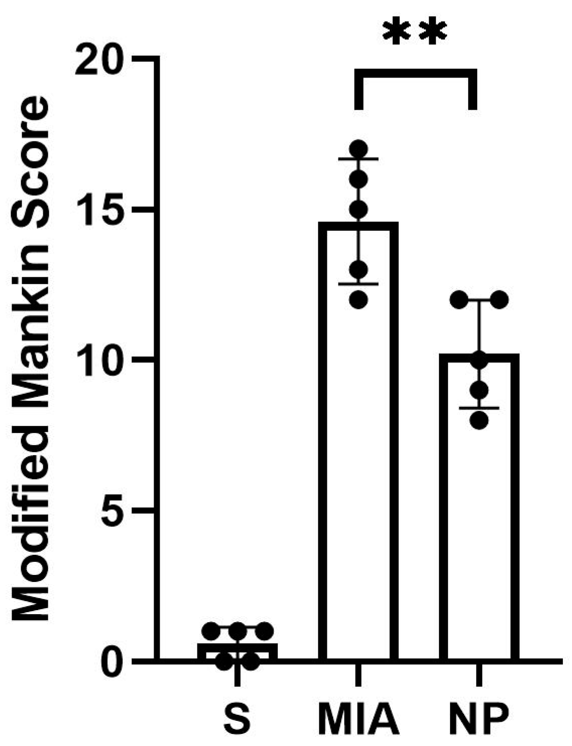 Biology 13 00331 g002