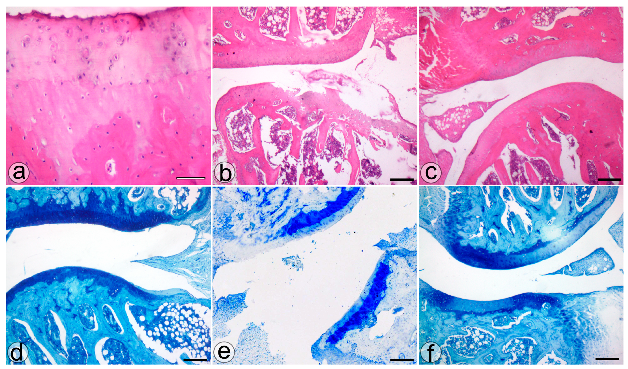 Biology 13 00331 g003