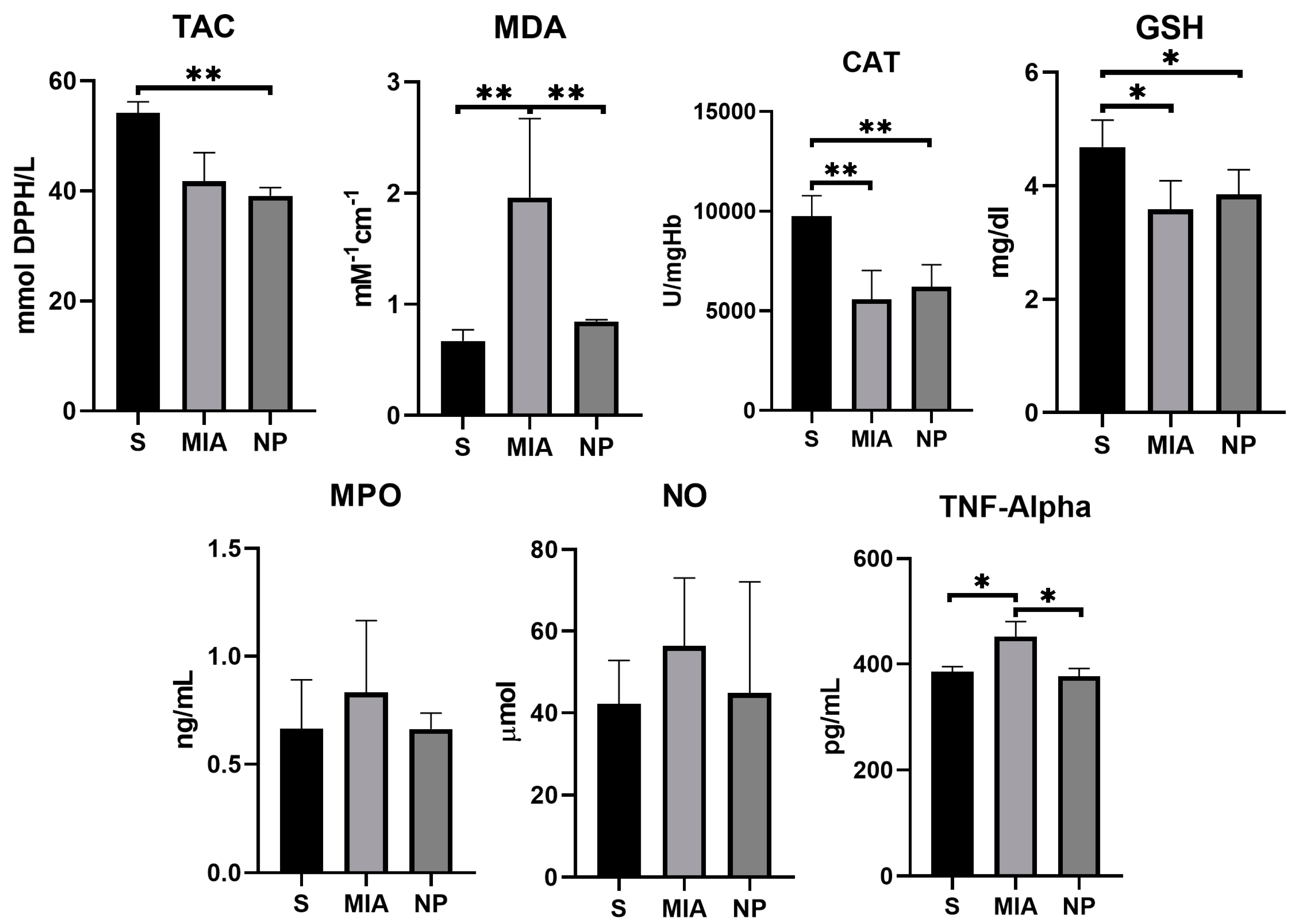 Biology 13 00331 g005