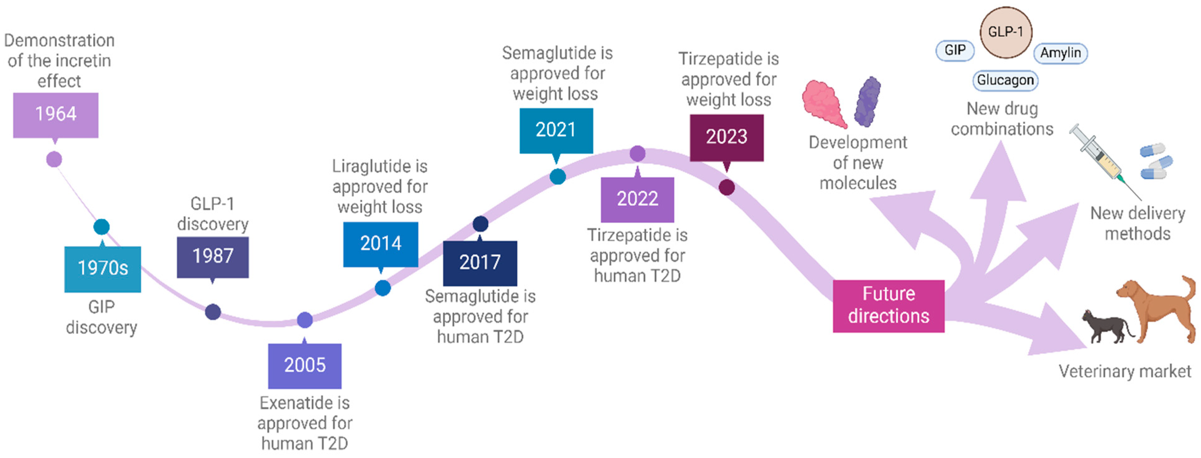 Biology 13 00335 g001