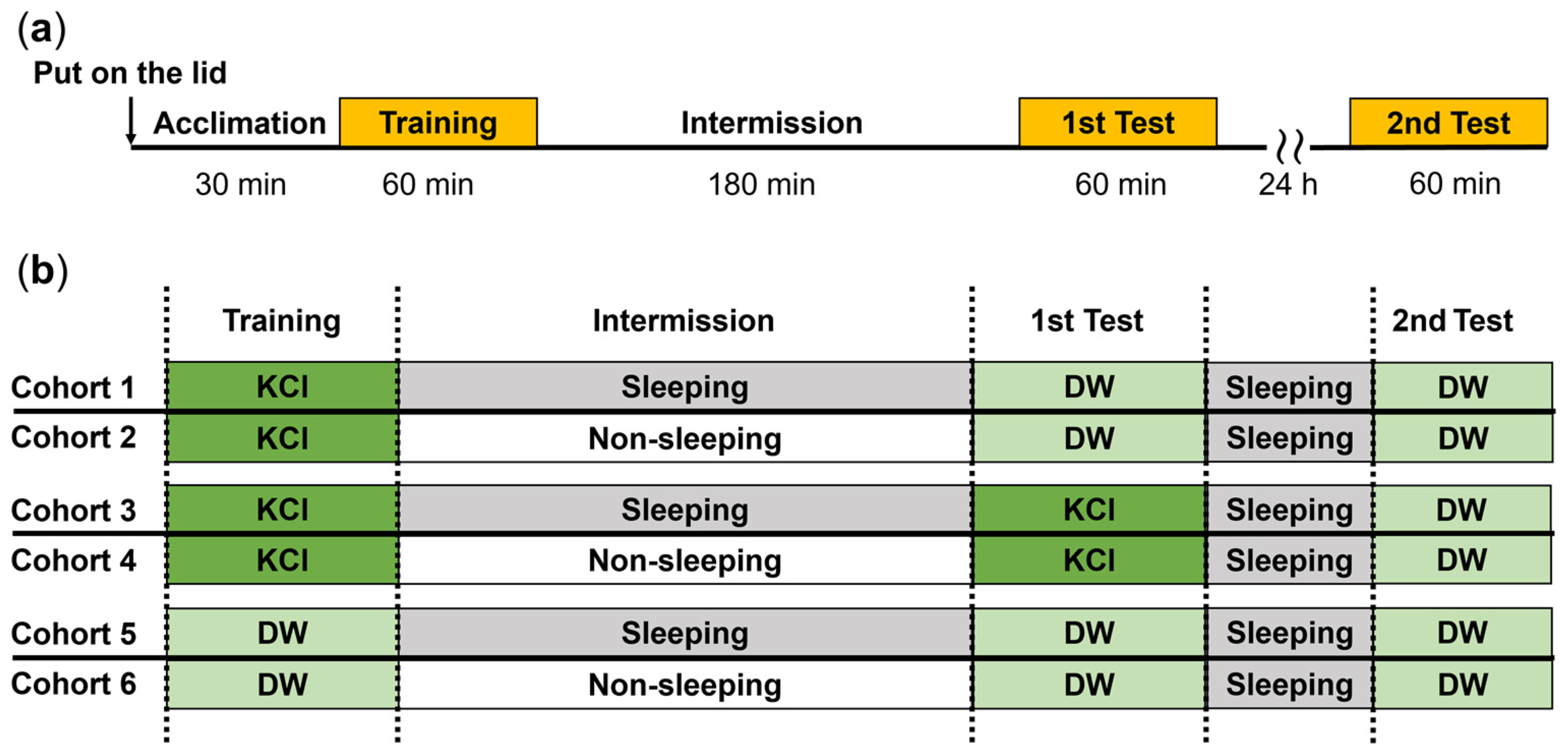 Biology 13 00336 g001