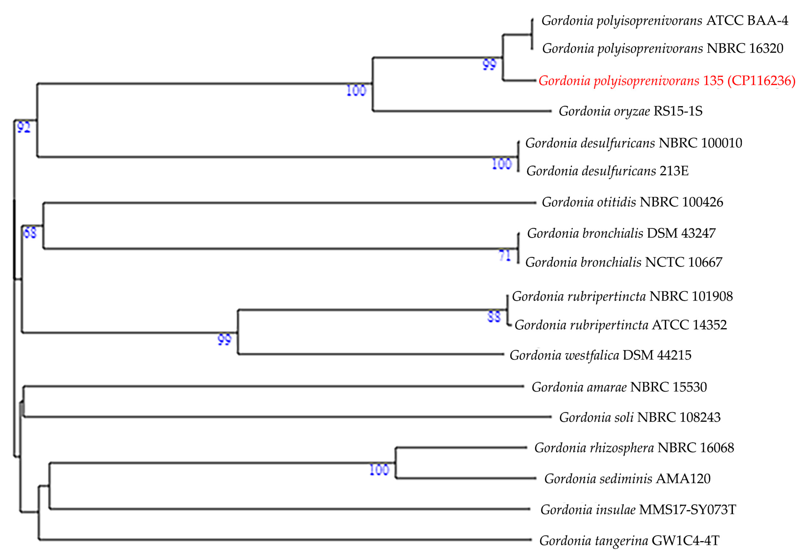 Biology 13 00339 g001