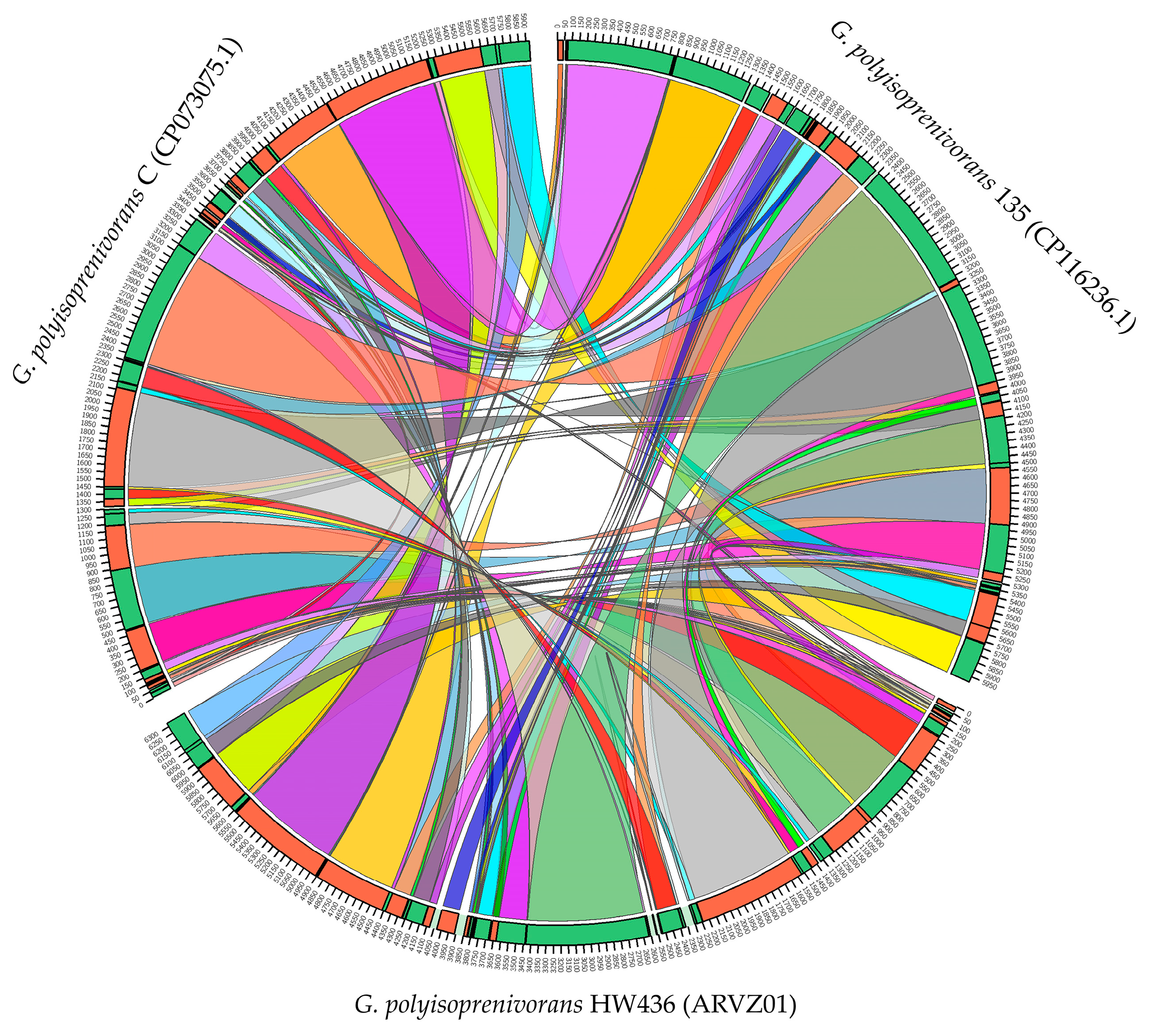 Biology 13 00339 g002