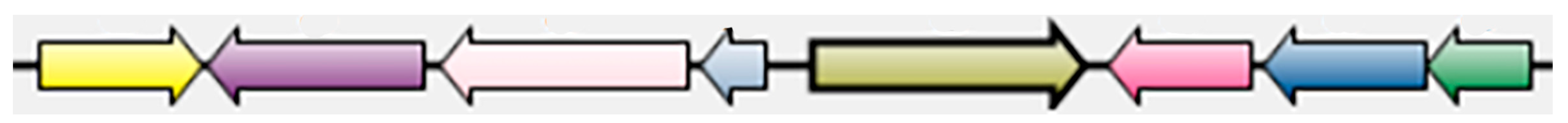 Biology 13 00339 g005