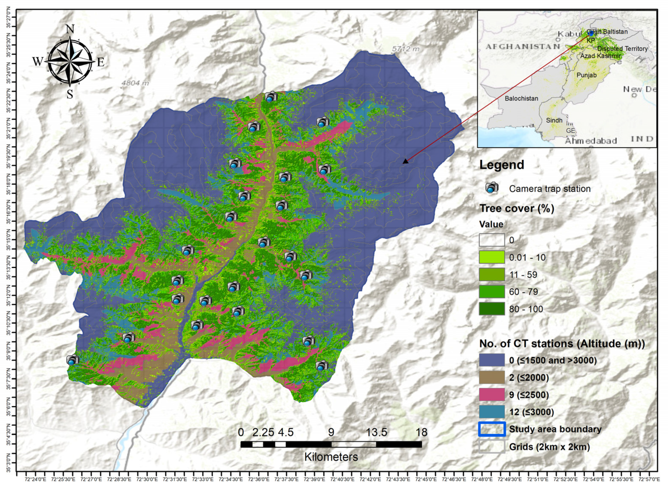 Biology 13 00341 g001