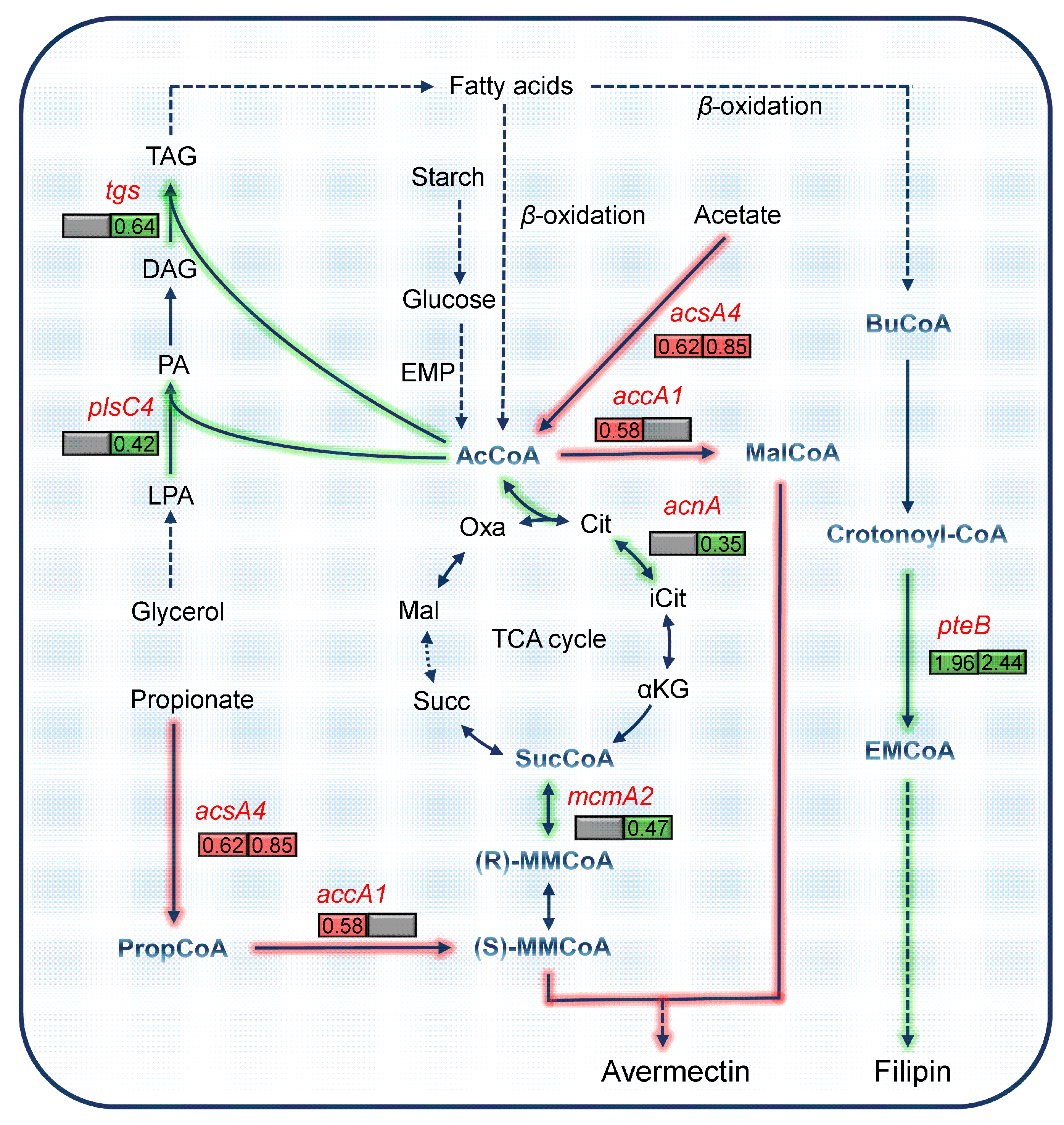Biology 13 00344 g005