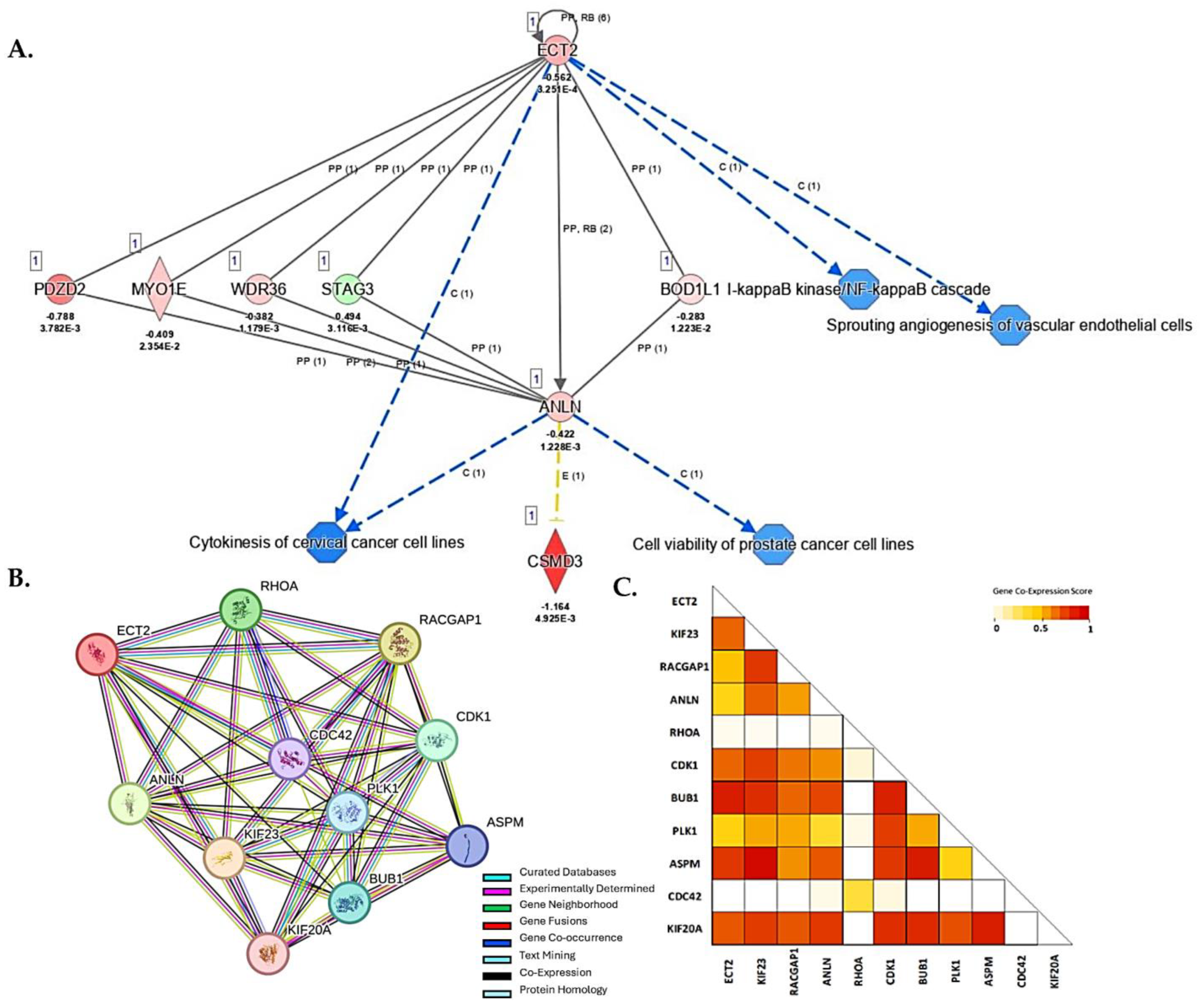 Biology 13 00346 g007 Biology 13 00346 g007