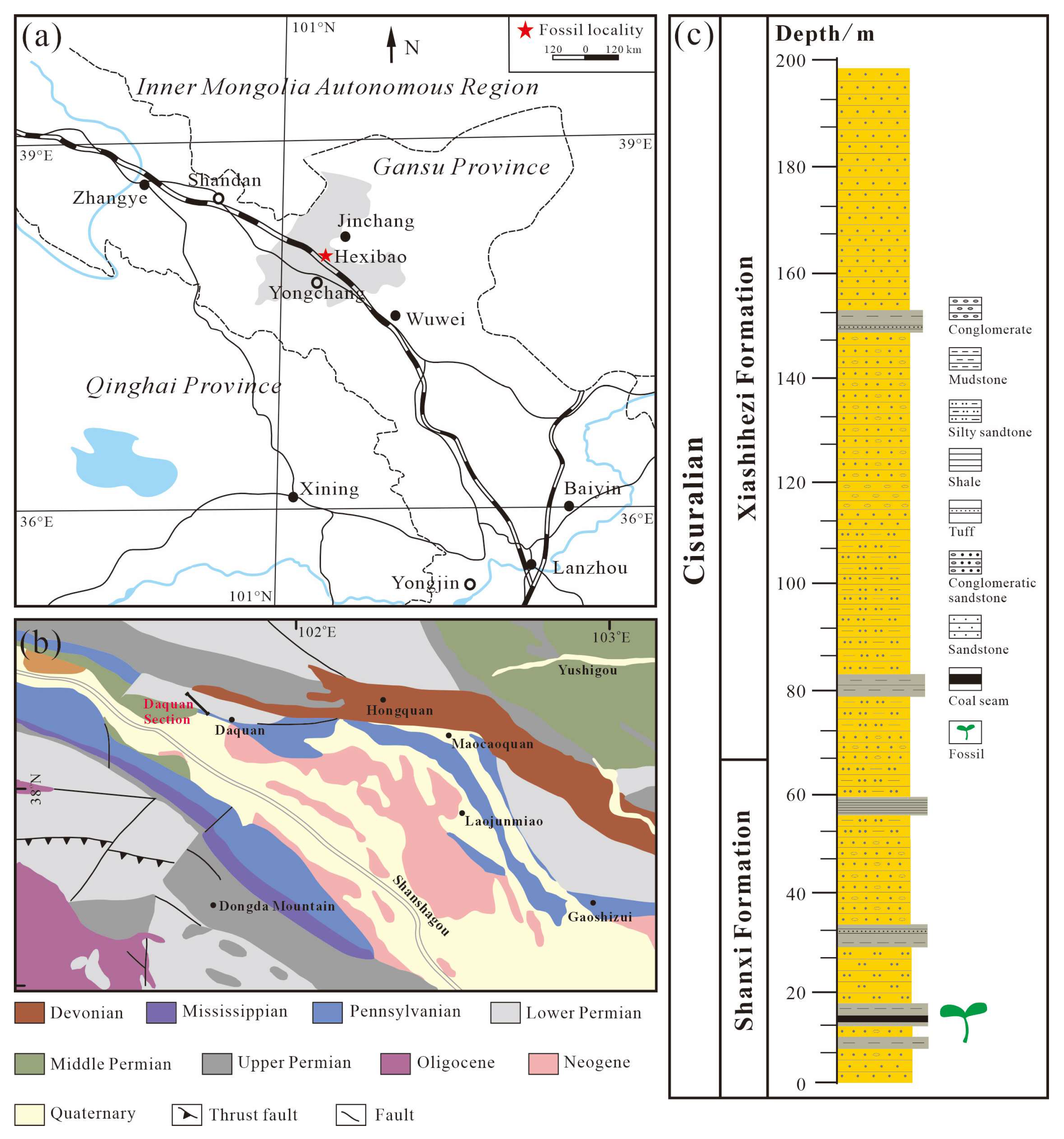 Biology 13 00347 g001