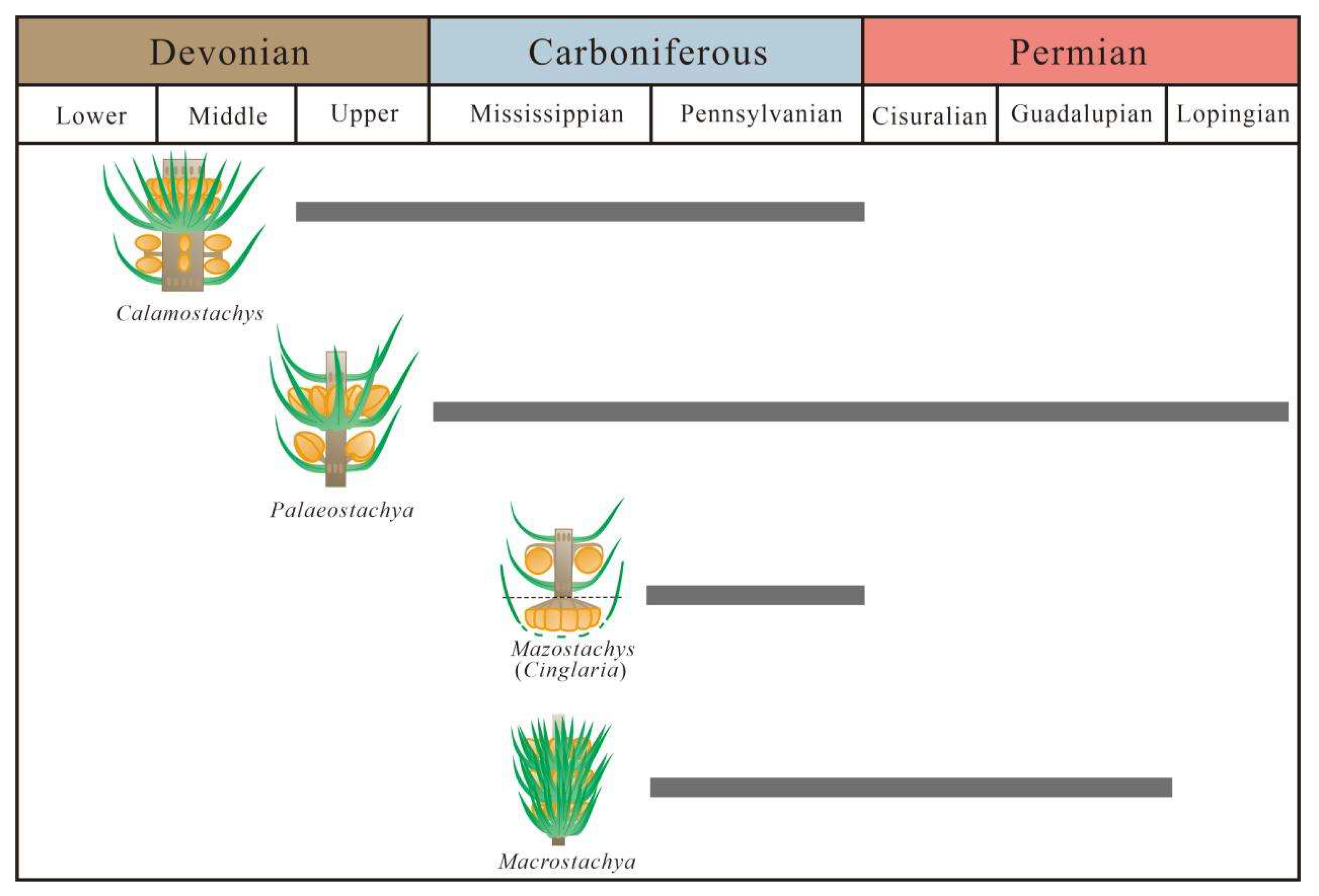 Biology 13 00347 g006