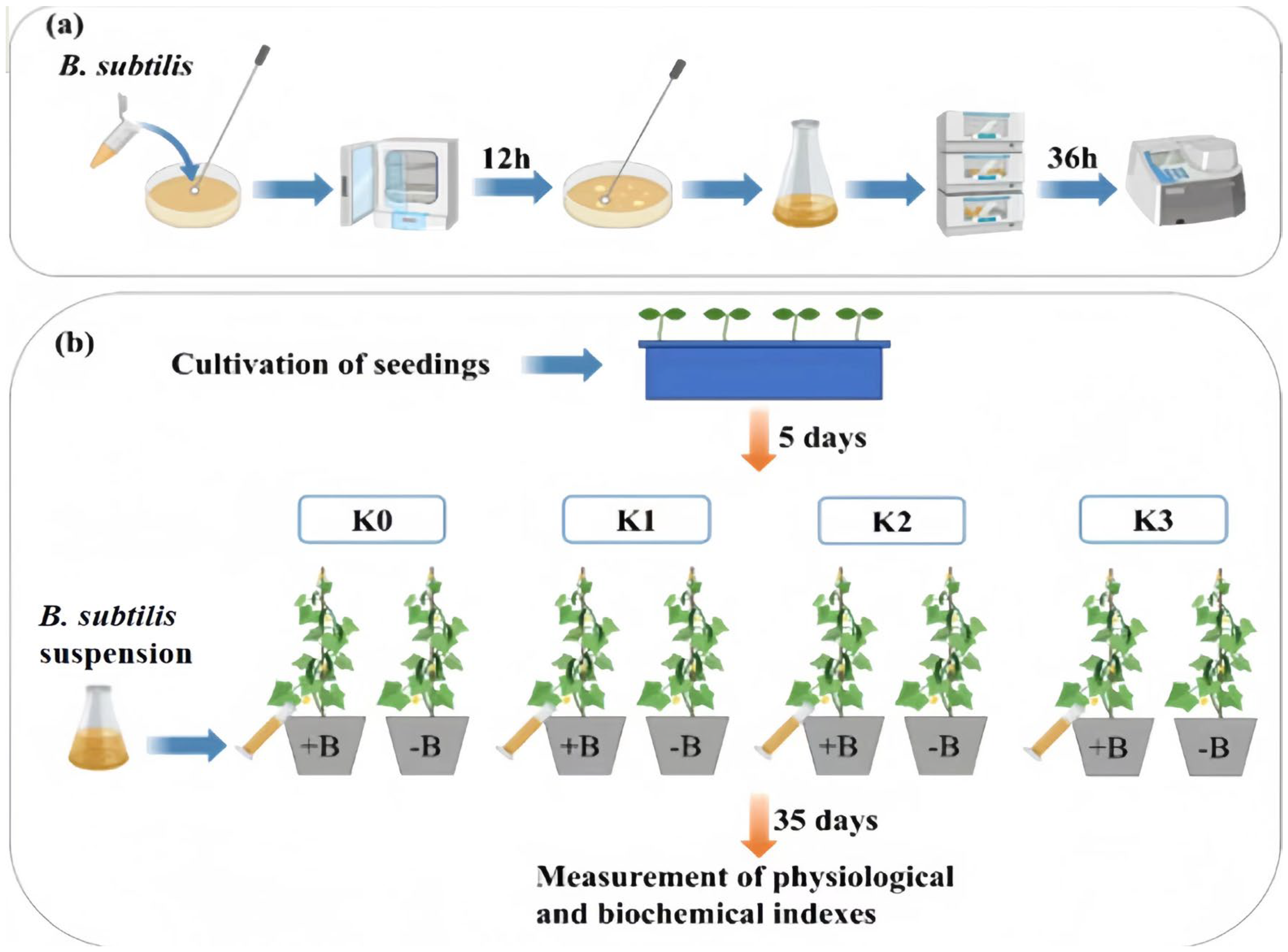 Biology 13 00348 g001