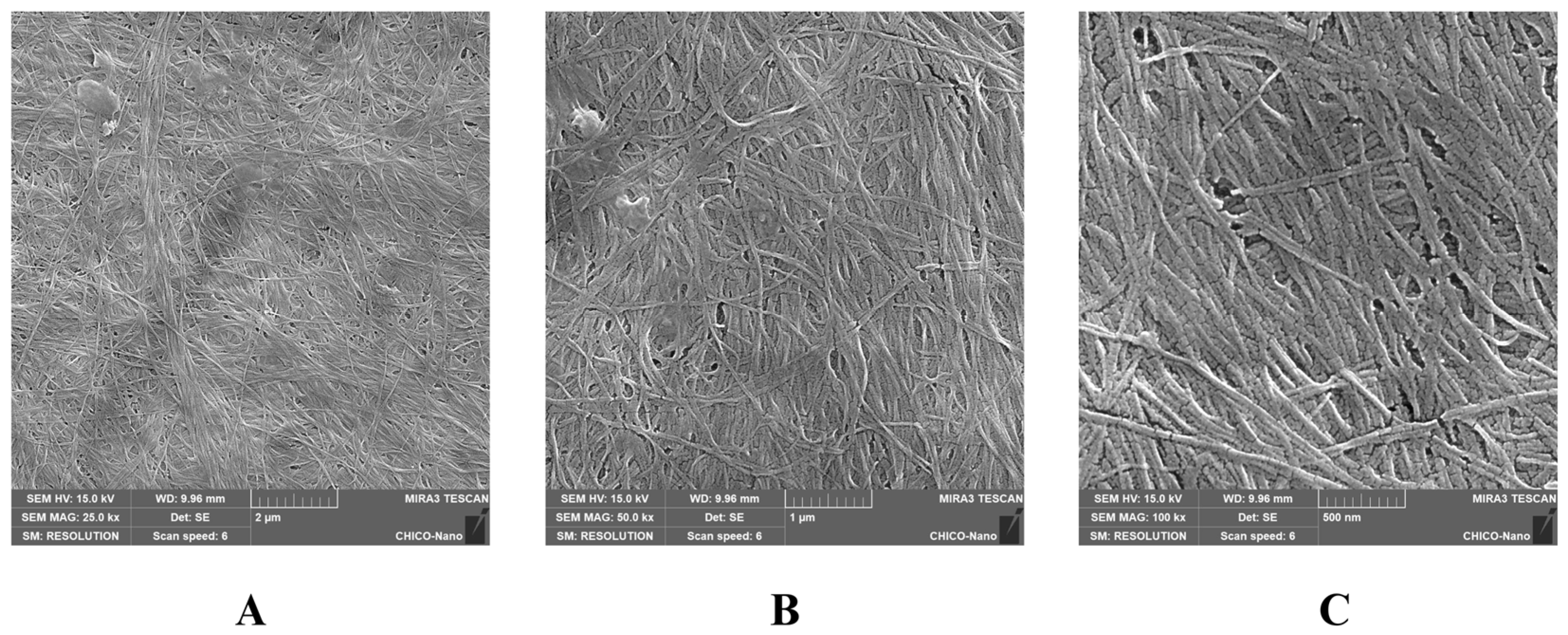 Biology 13 00354 g001
