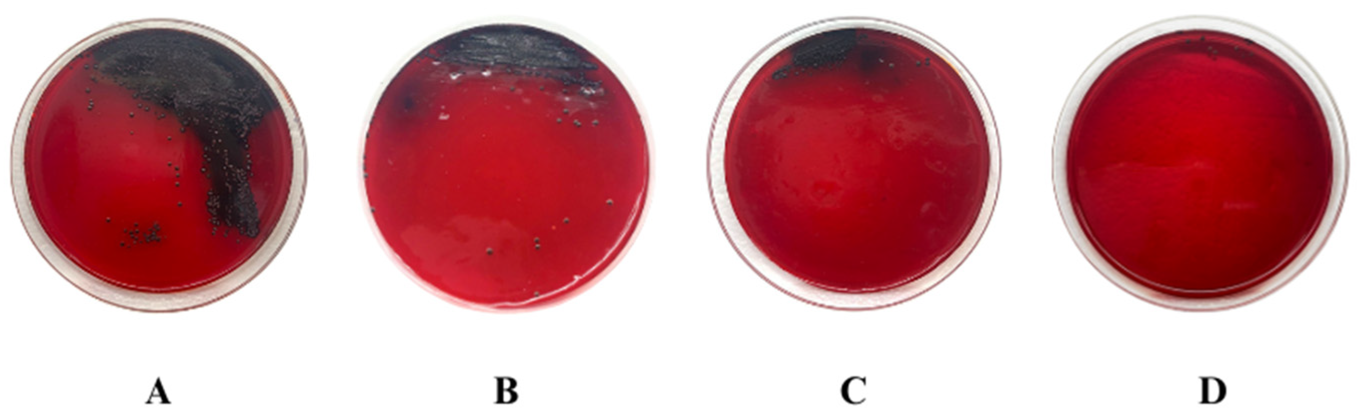 Biology 13 00354 g003