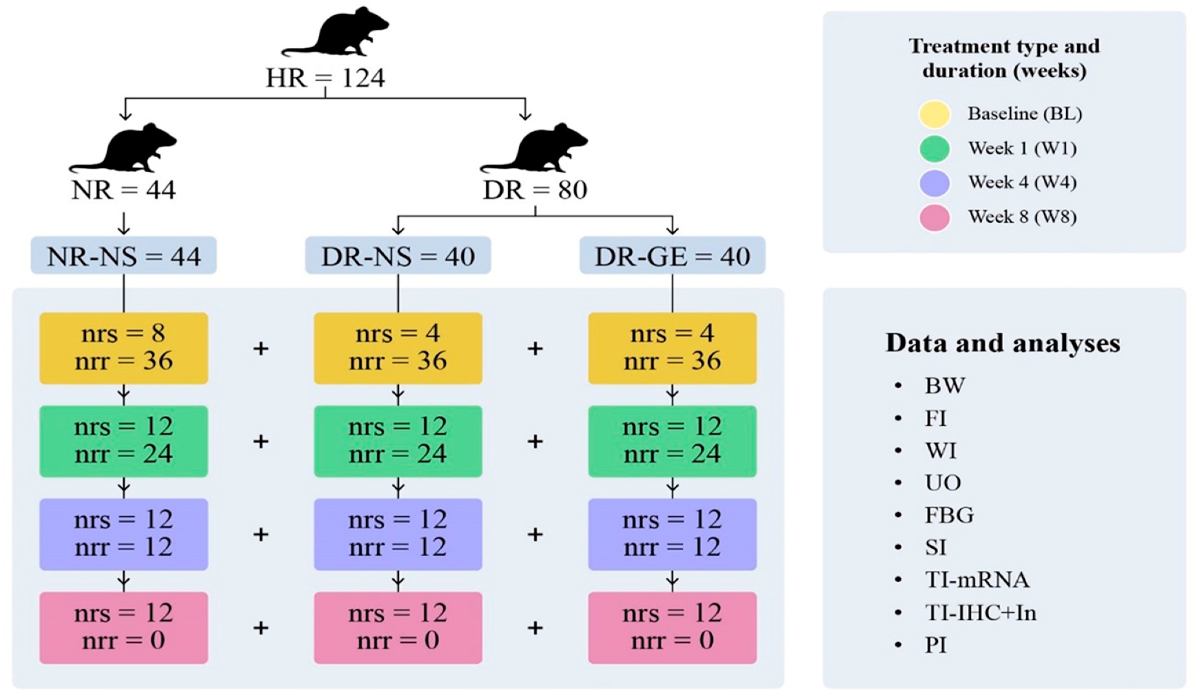Biology 13 00355 g001