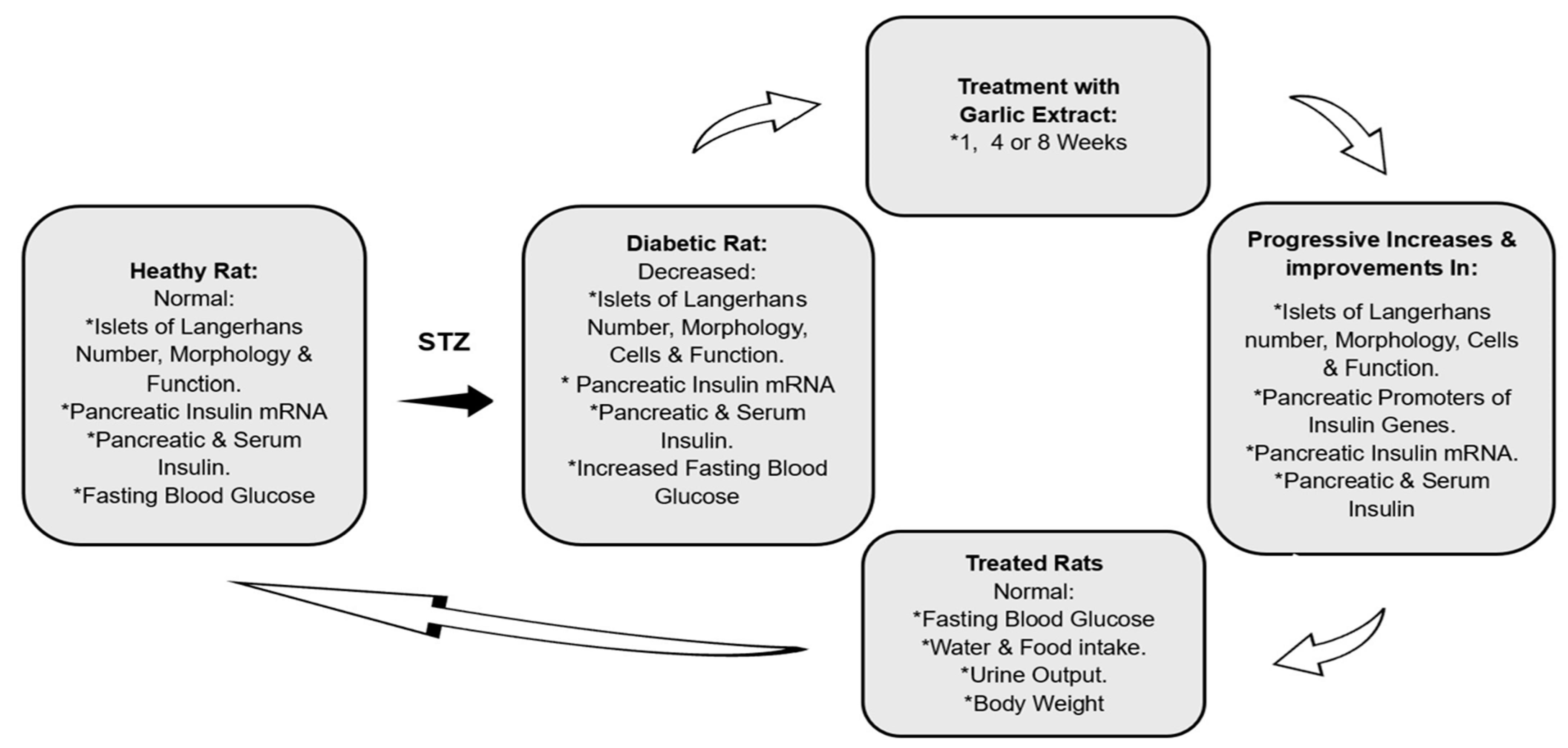 Biology 13 00355 g006
