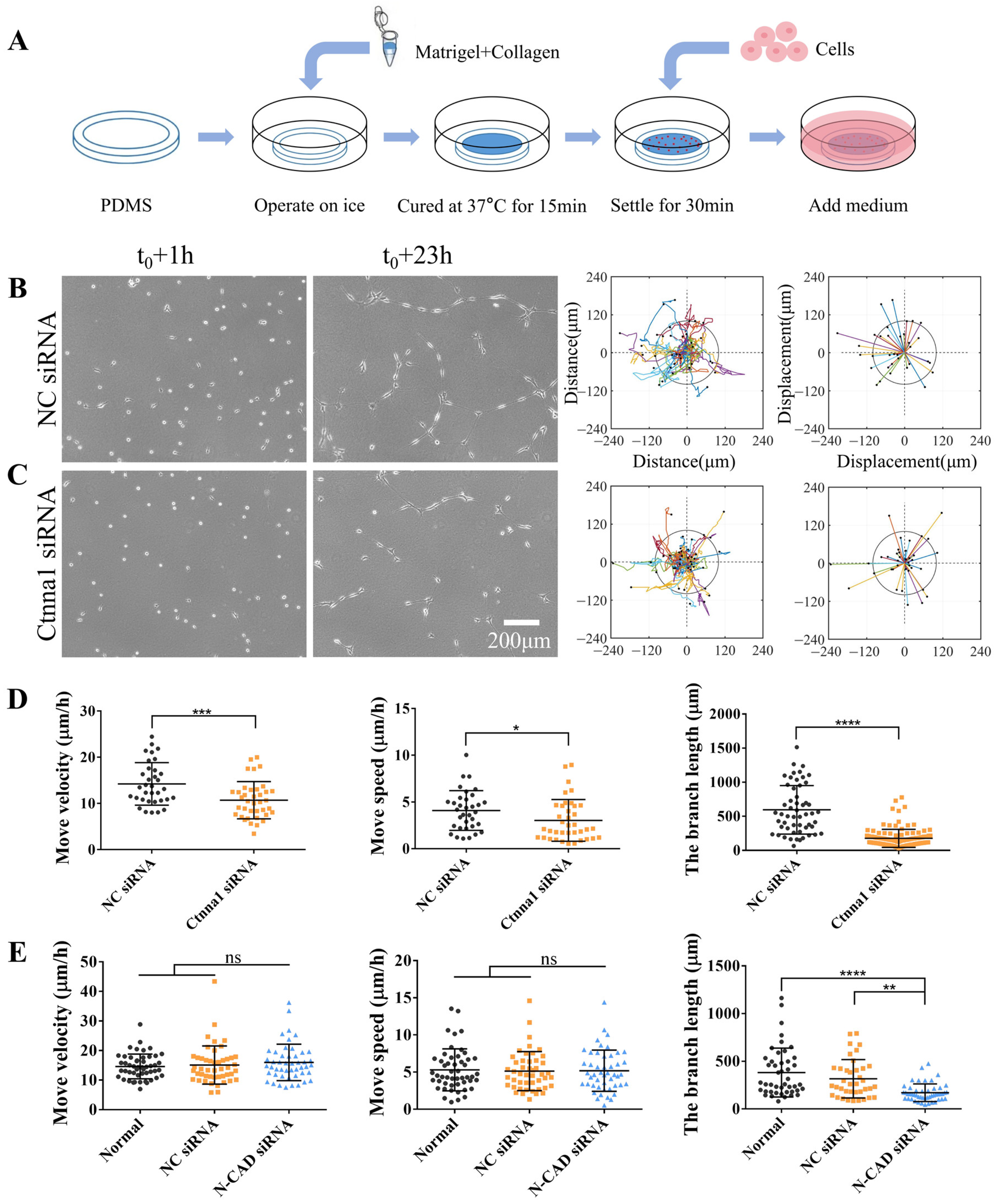 Biology 13 00357 g001