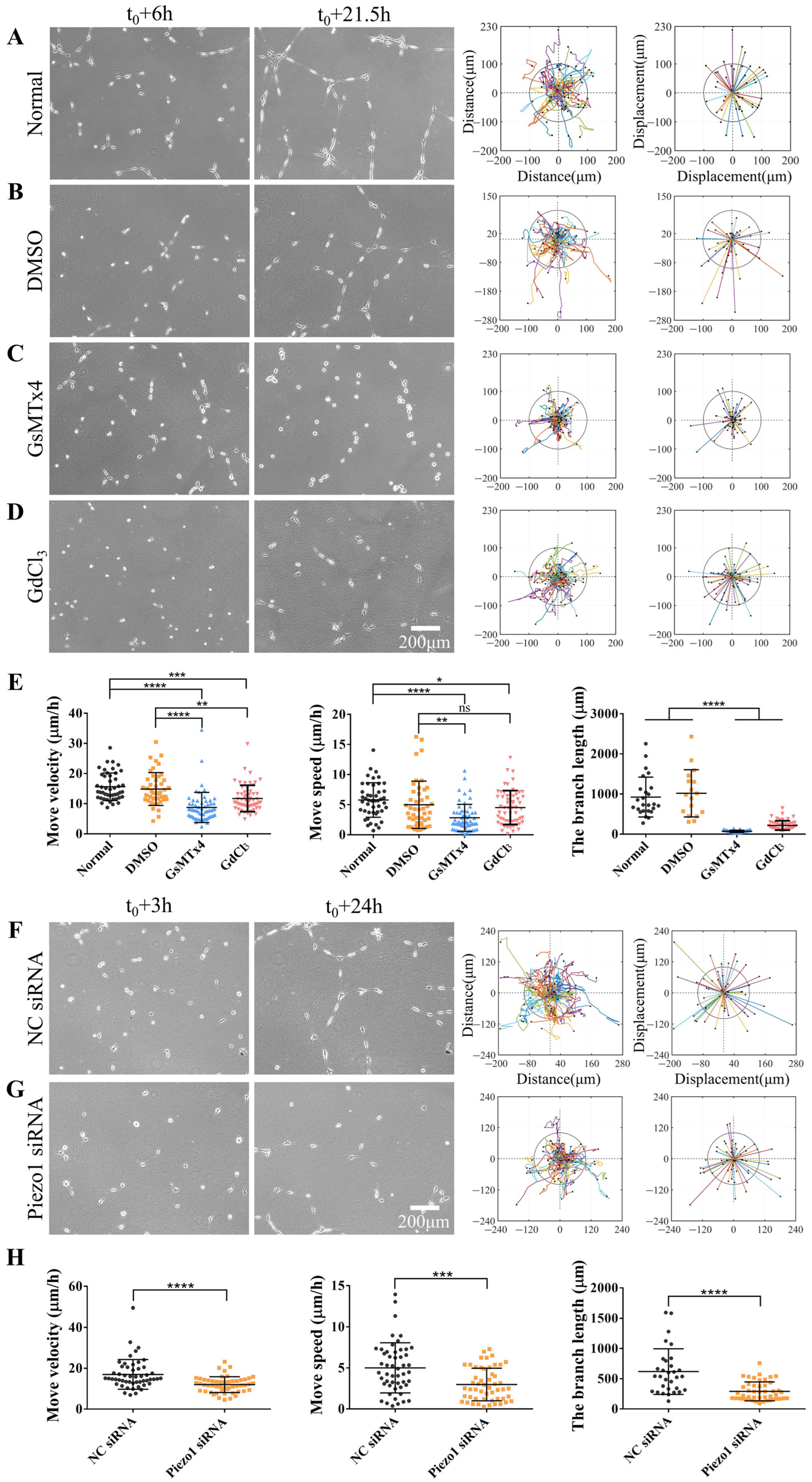 Biology 13 00357 g002