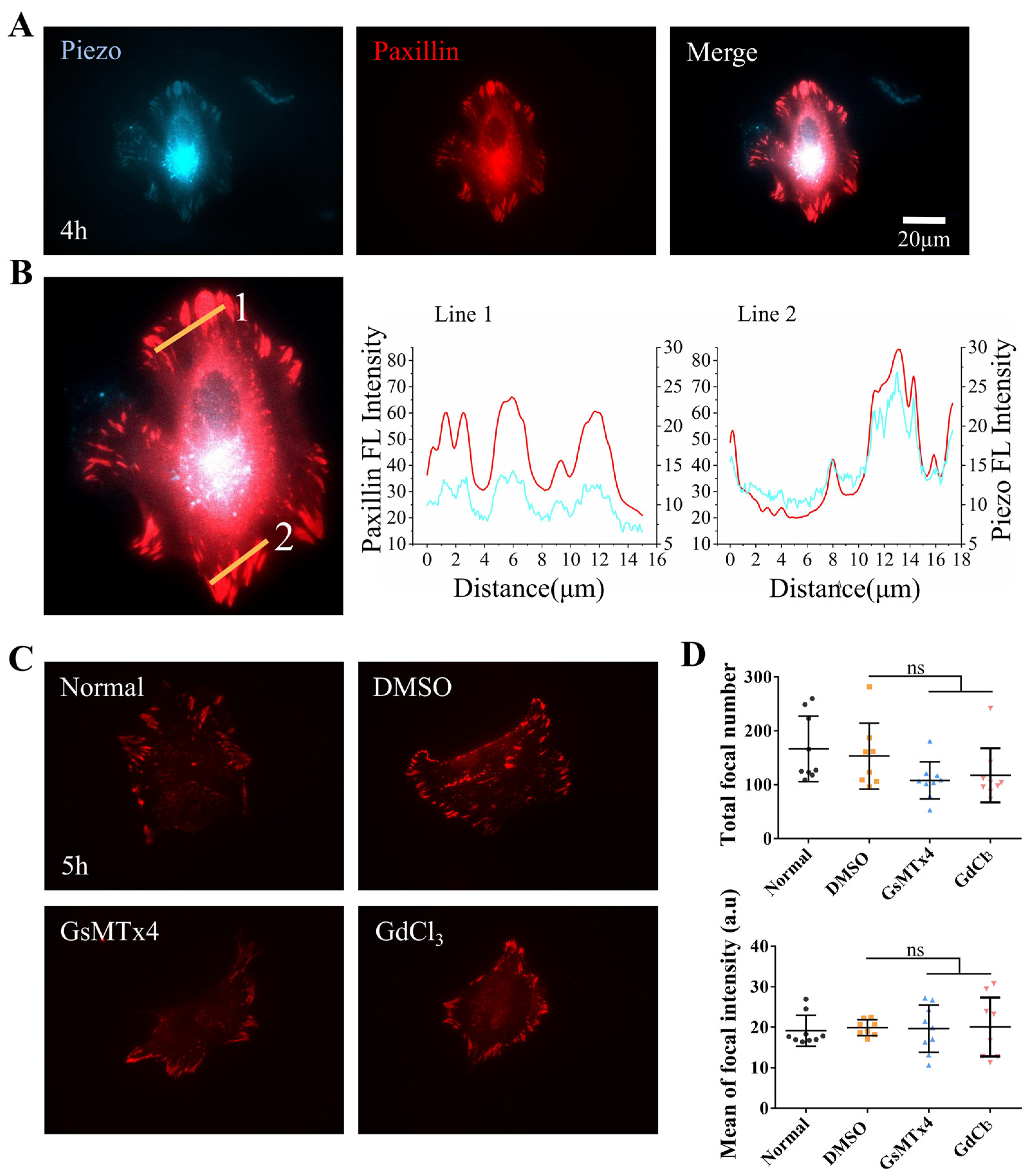 Biology 13 00357 g004