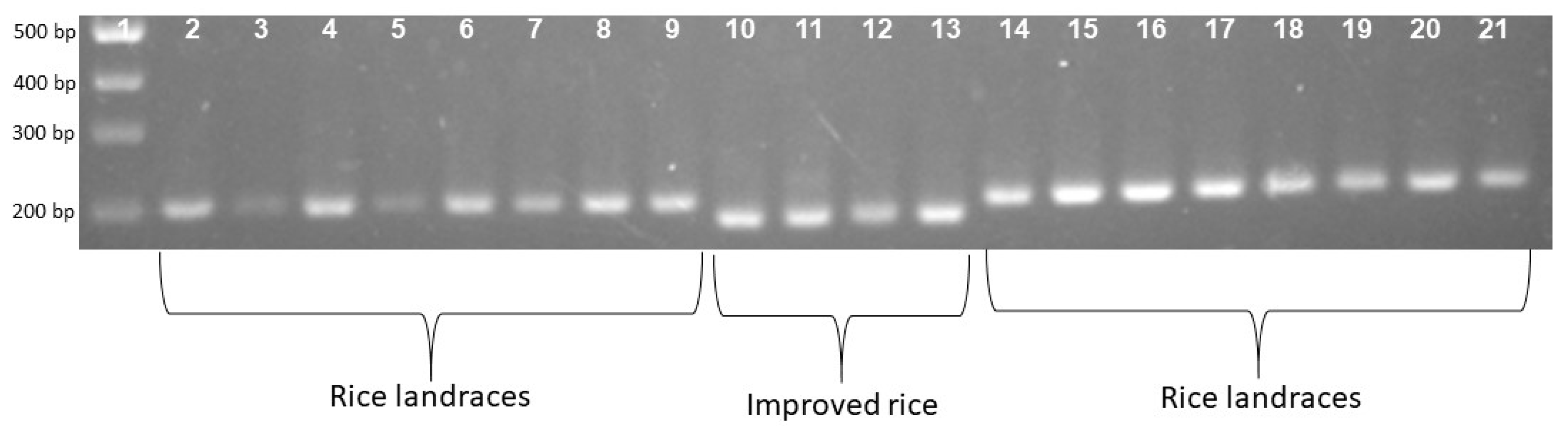 Biology 13 00358 g001