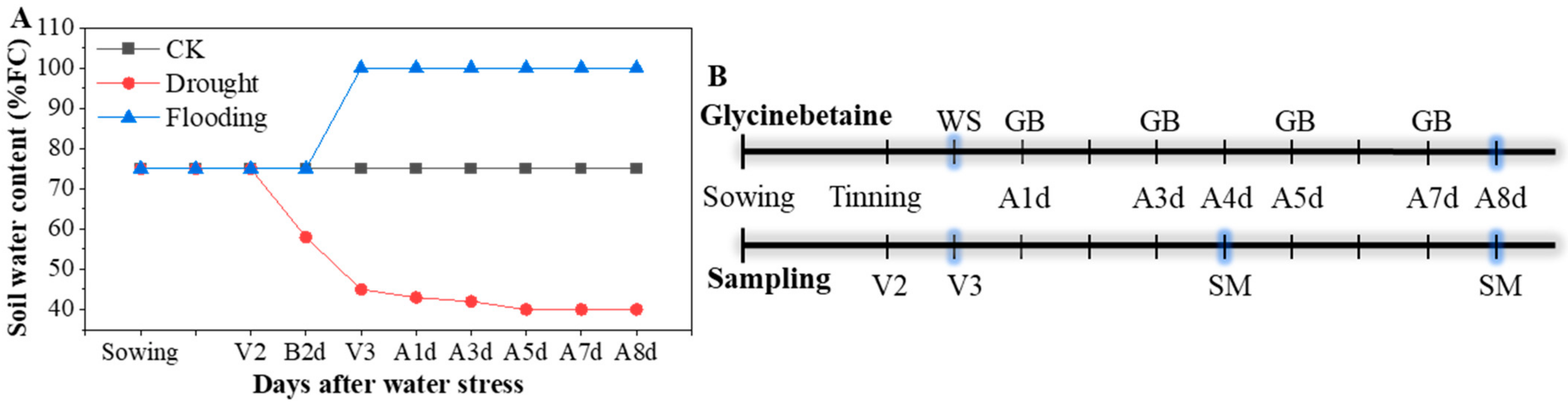 Biology 13 00360 g001