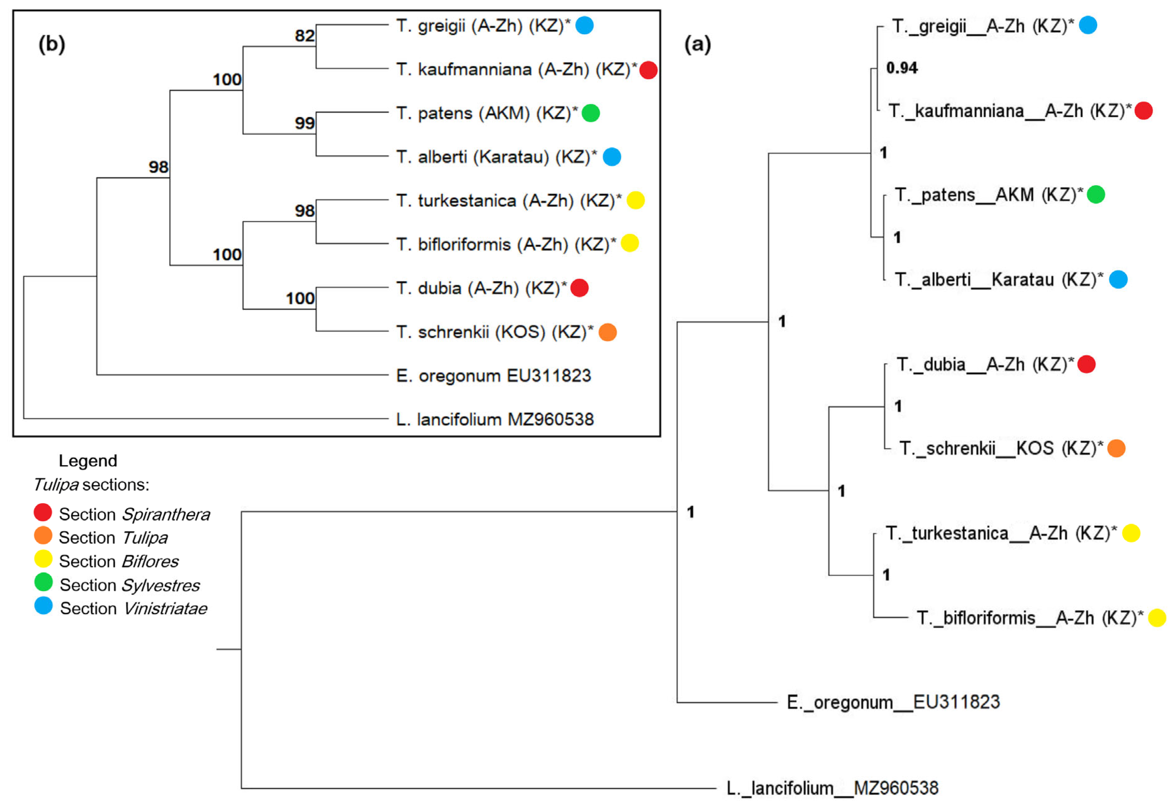 Biology 13 00365 g004