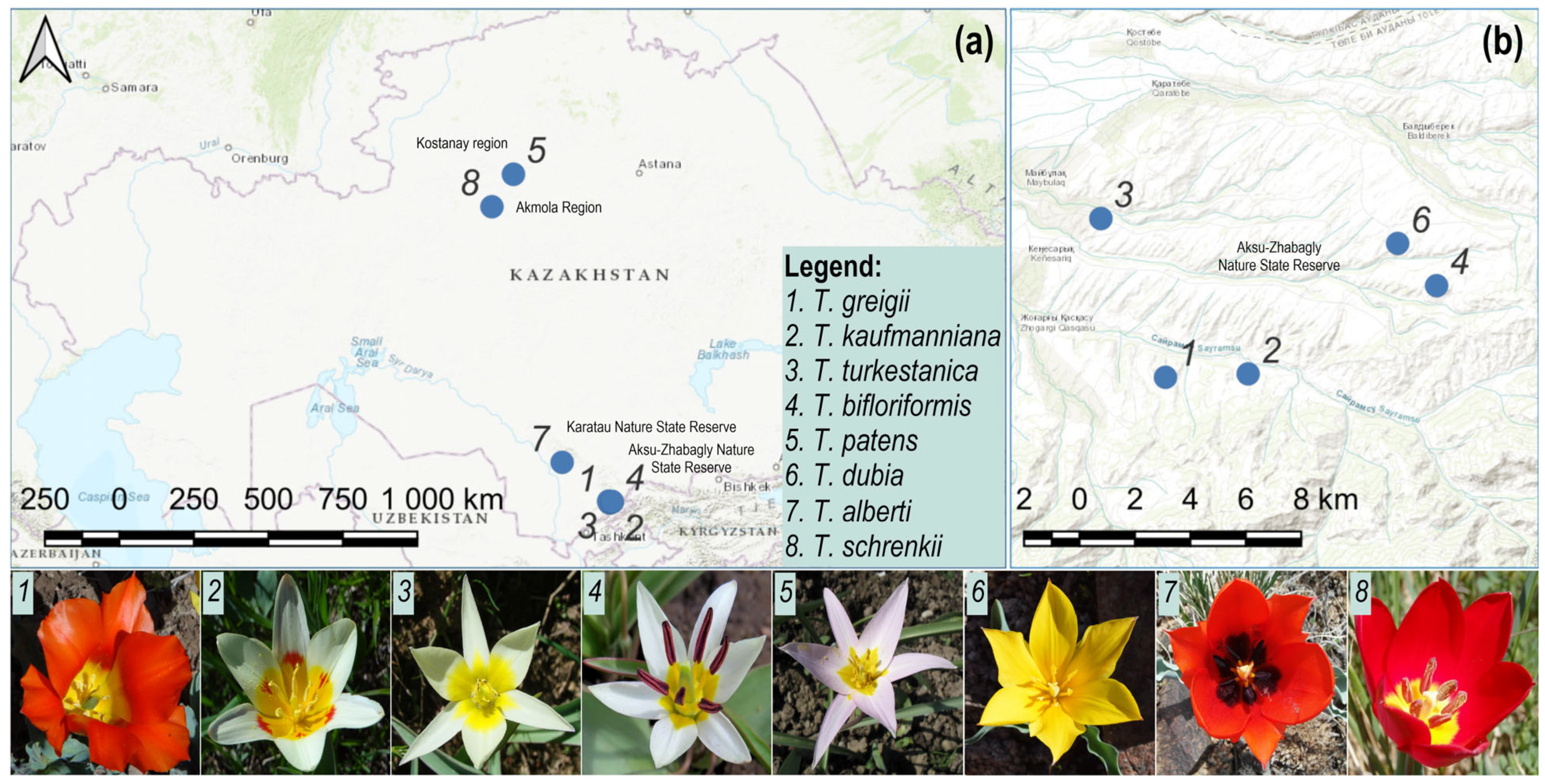 Biology 13 00365 g005
