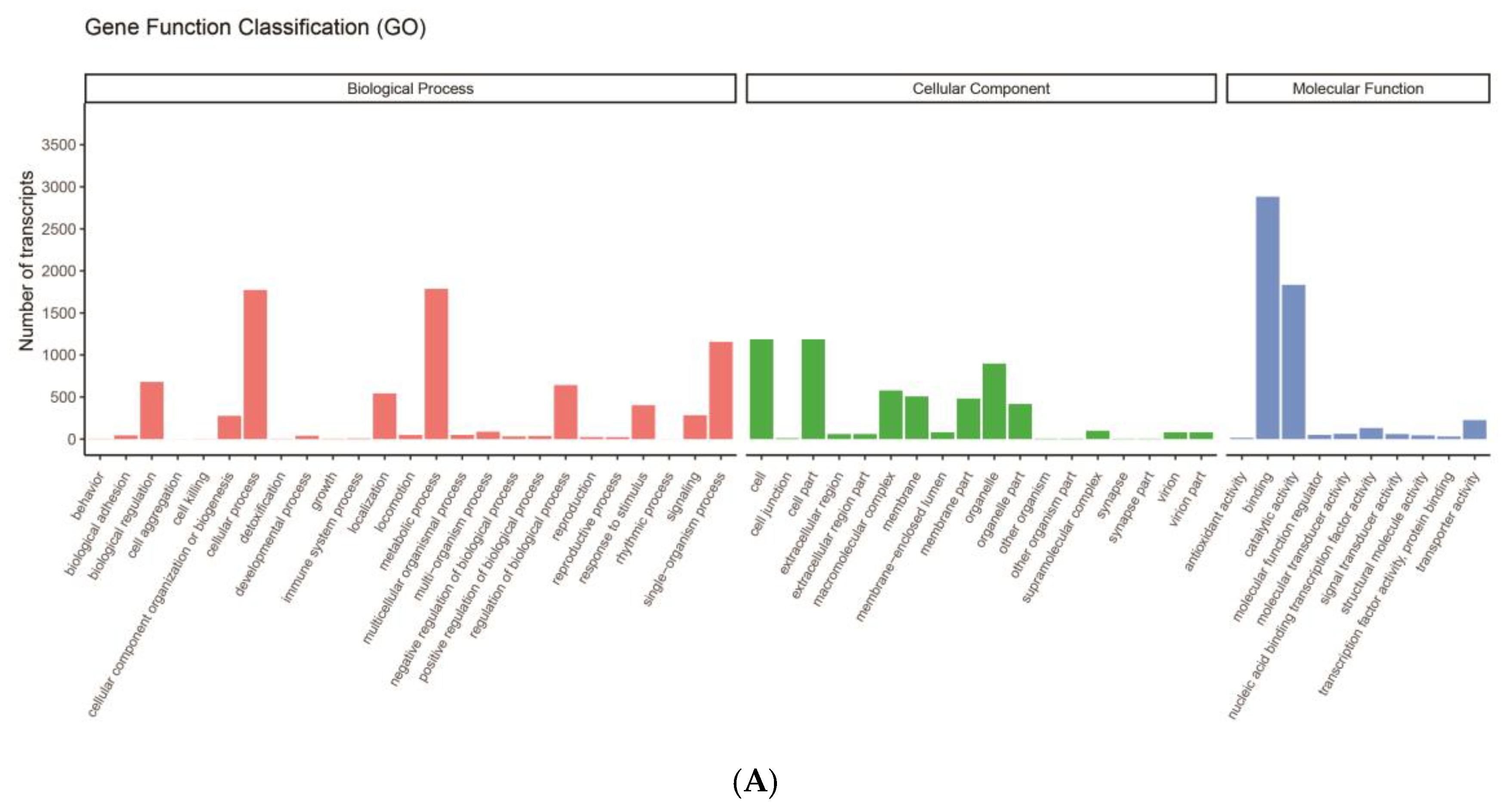Biology 13 00366 g002a