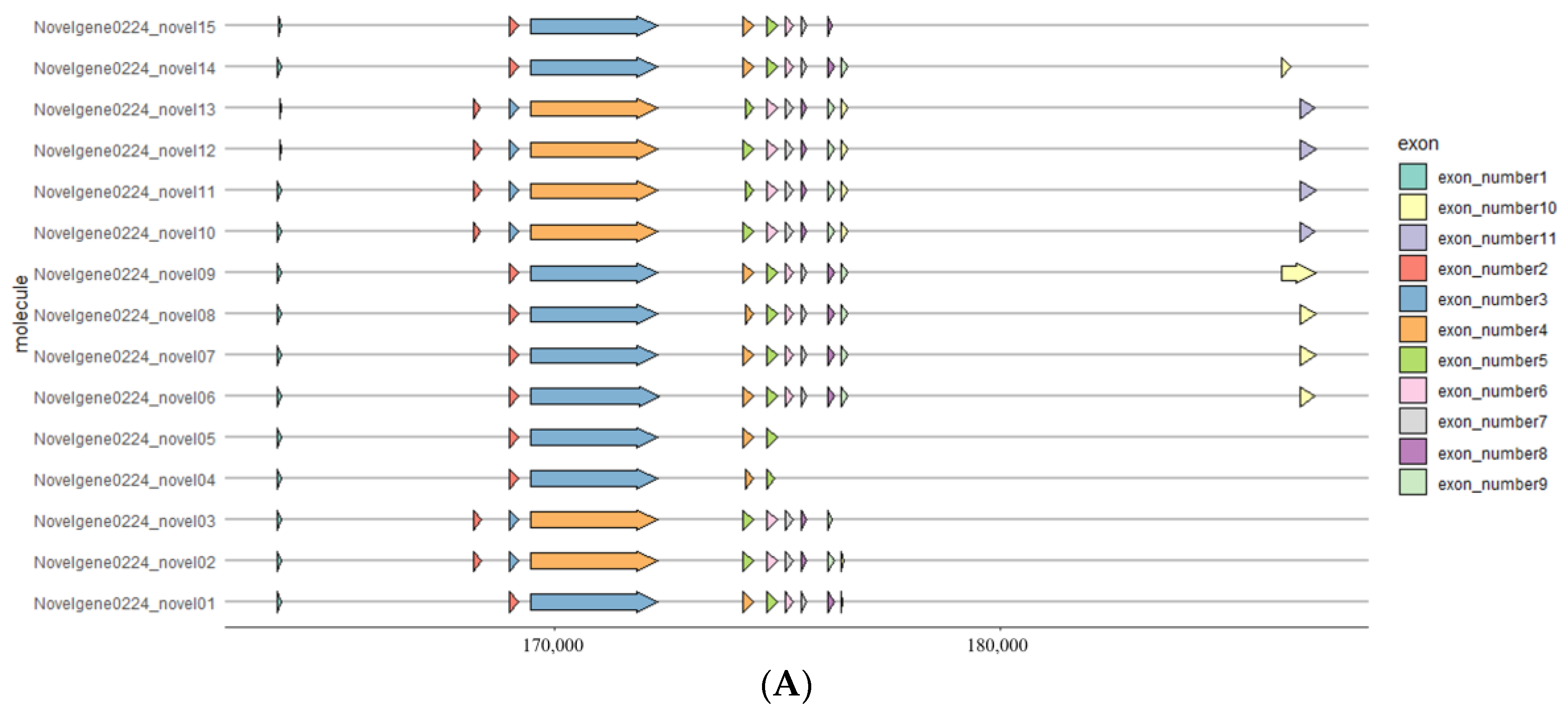 Biology 13 00366 g004a