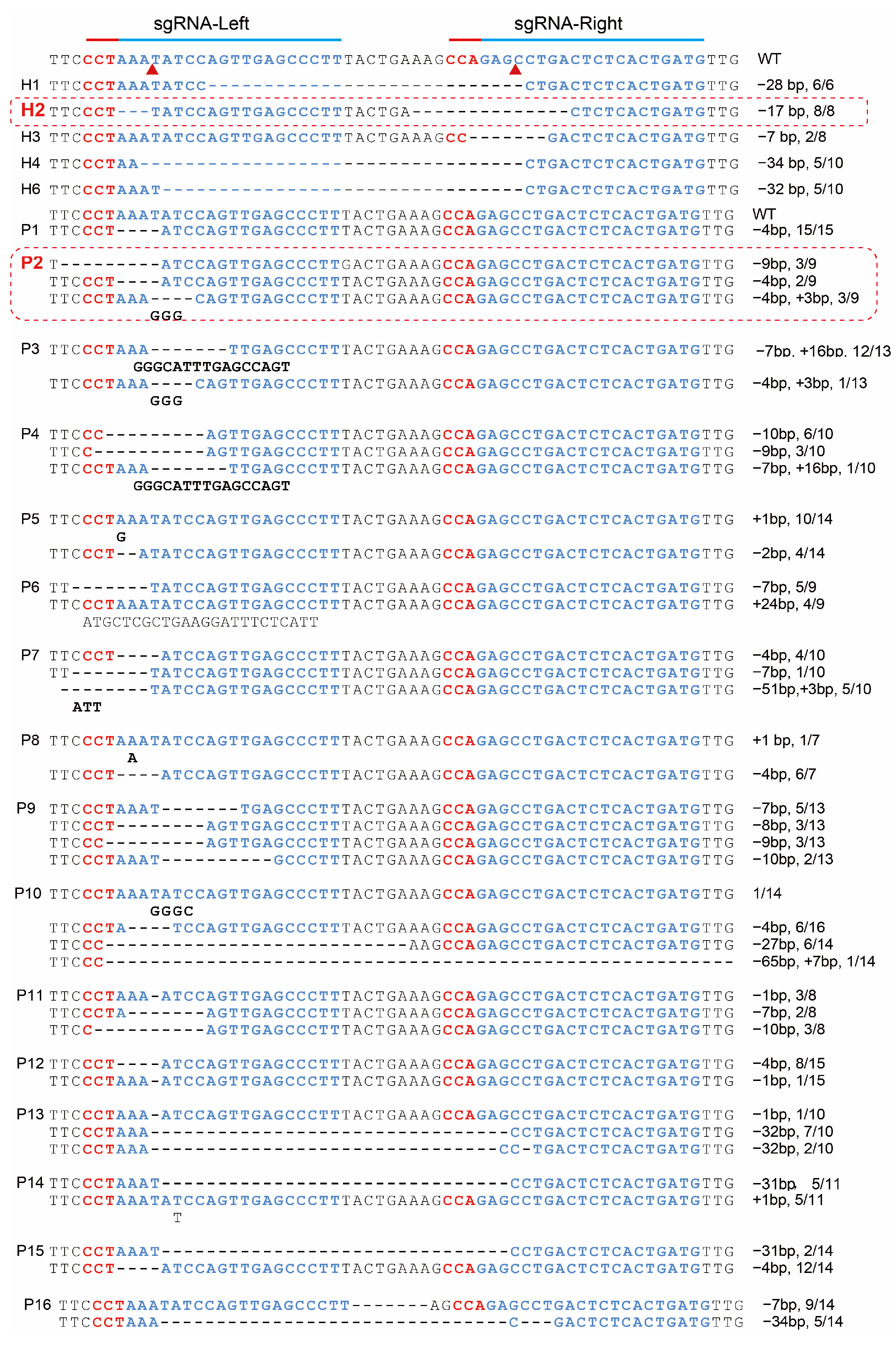 Biology 13 00367 g002