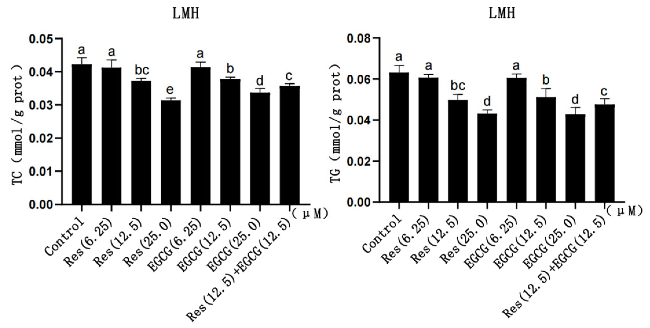 Biology 13 00368 g002