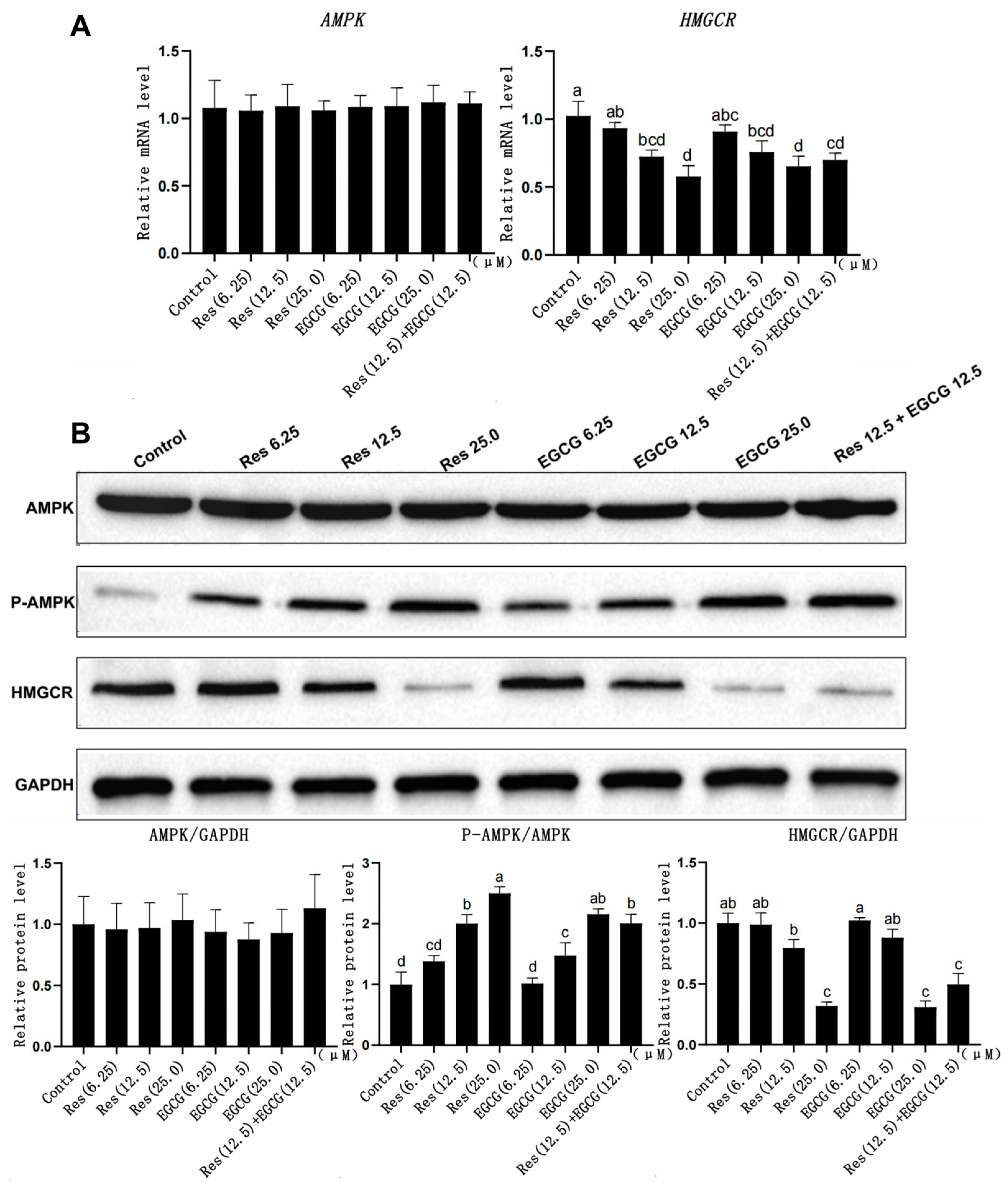 Biology 13 00368 g004