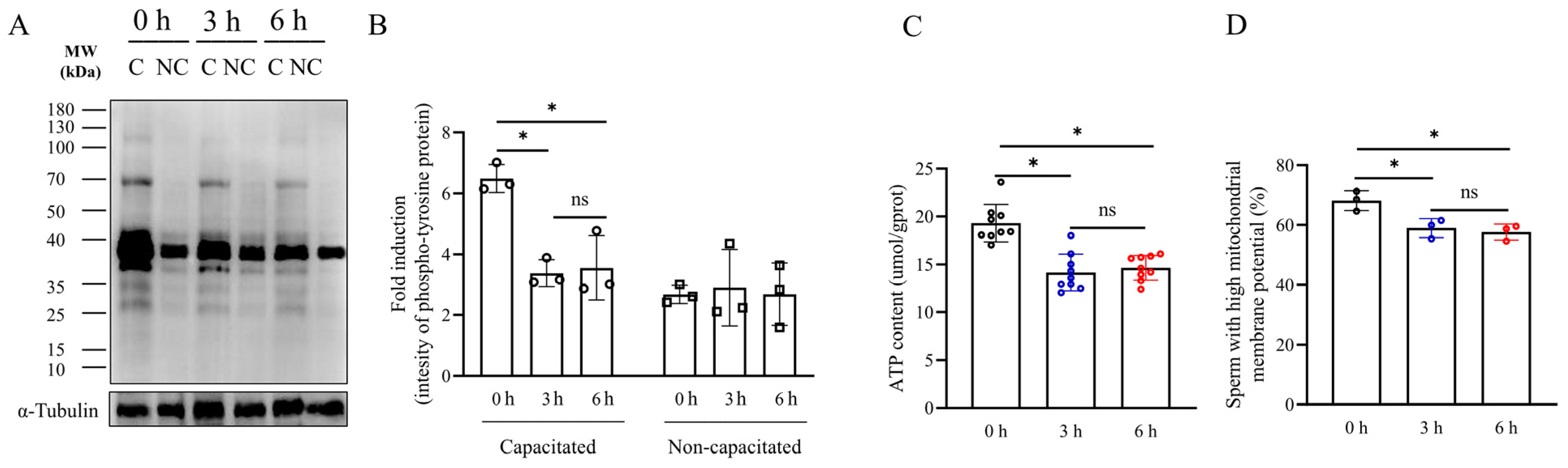 Biology 13 00370 g002