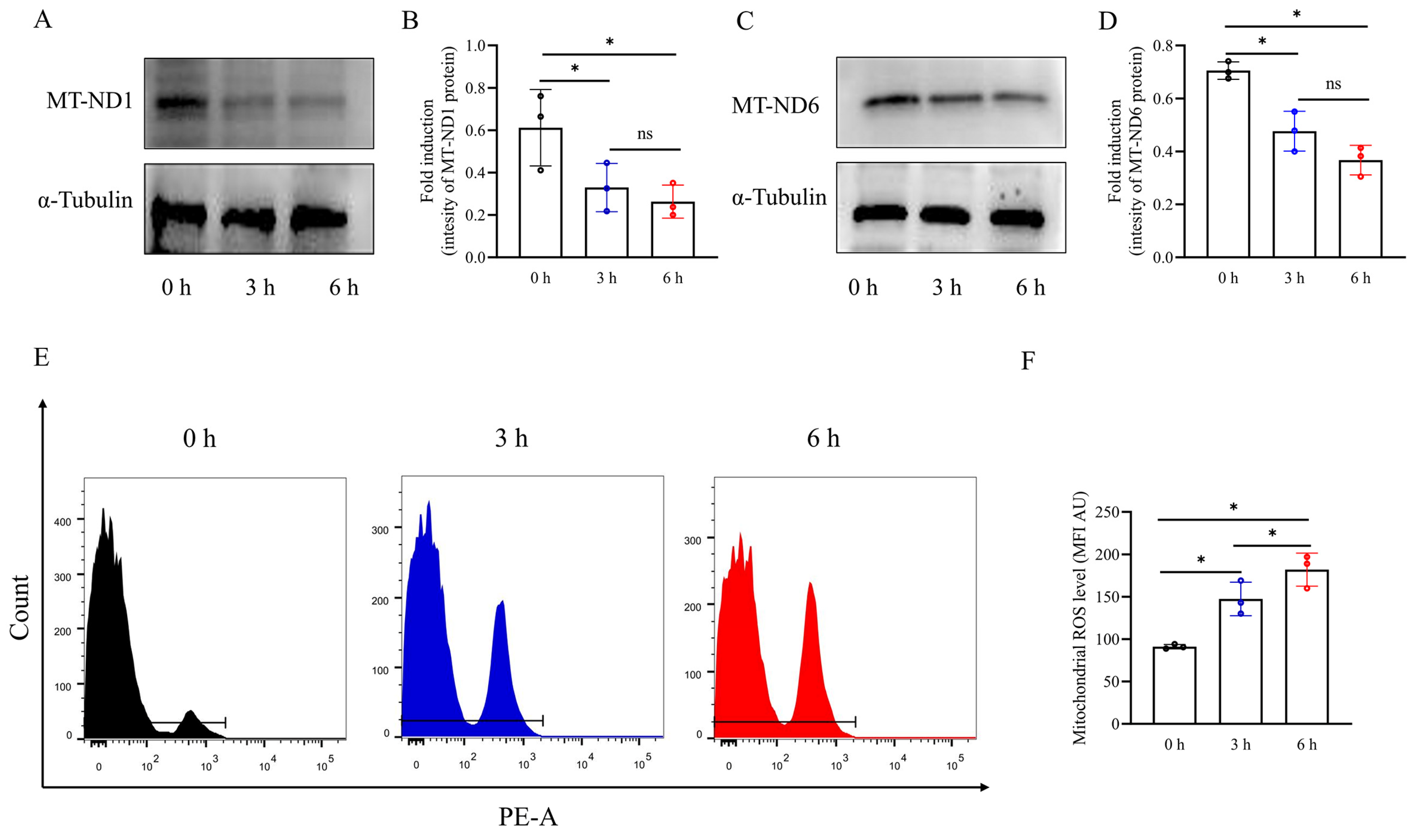 Biology 13 00370 g003