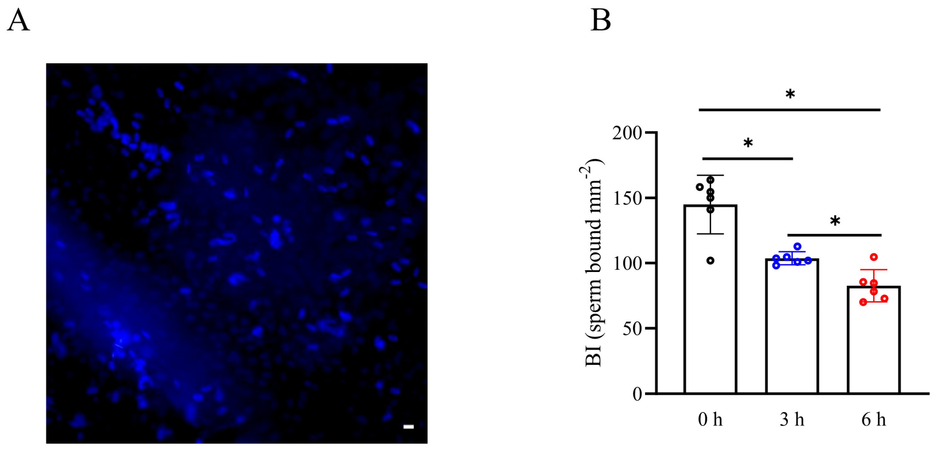 Biology 13 00370 g005