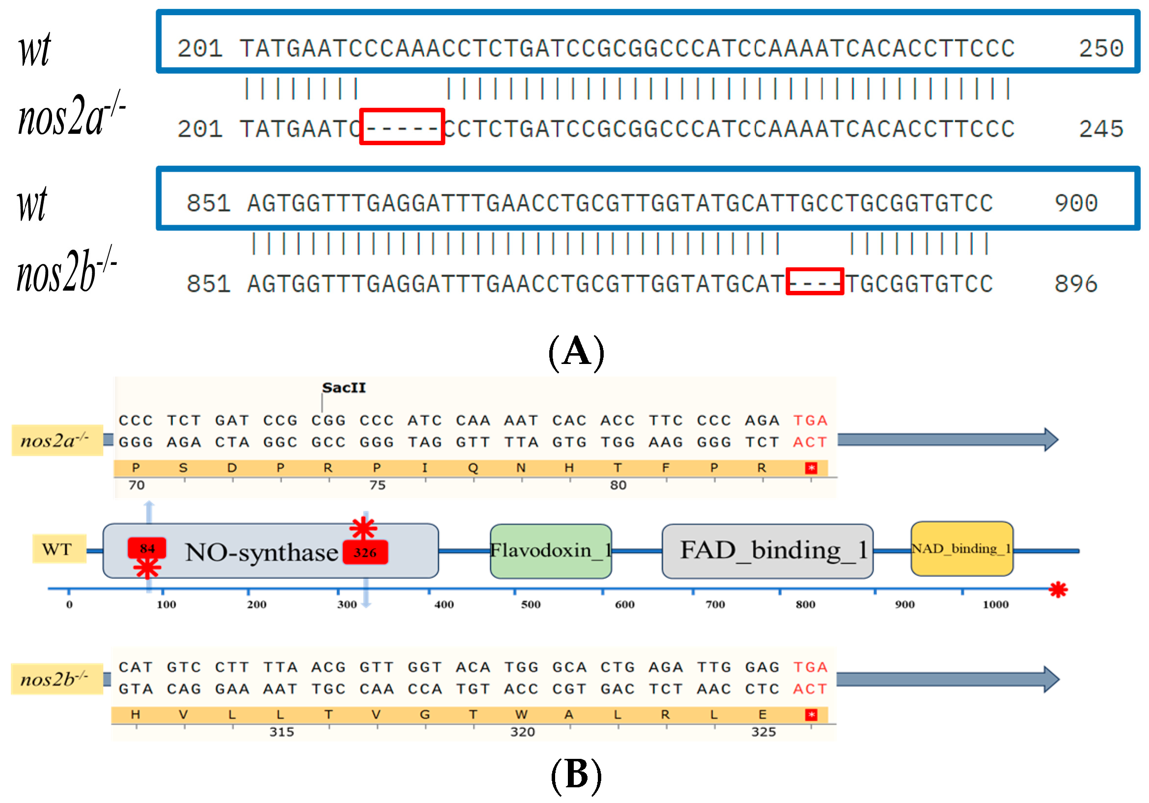 Biology 13 00372 g001a